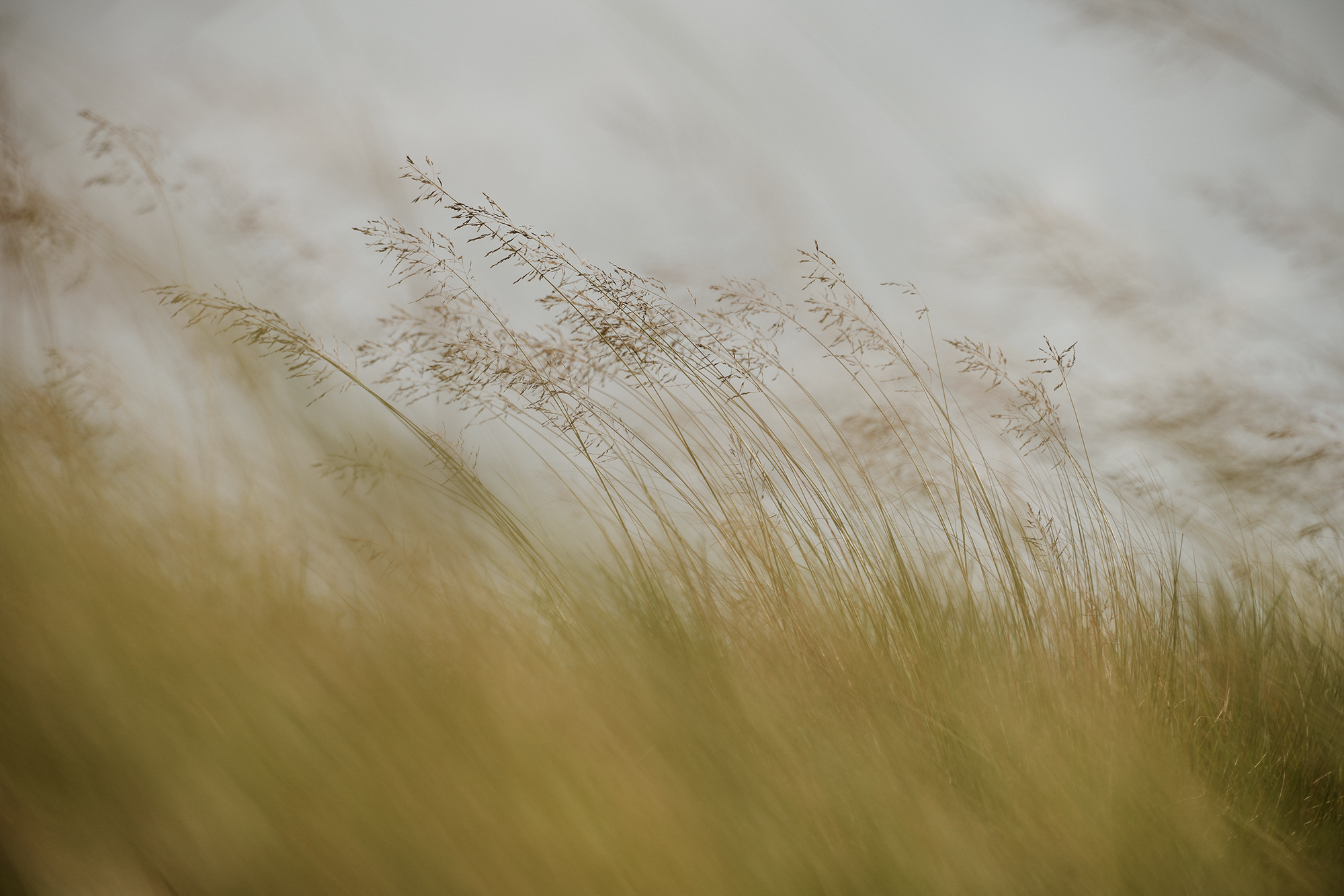 Blair-Atholl-Luxury-Estate-Gardens-2.png
