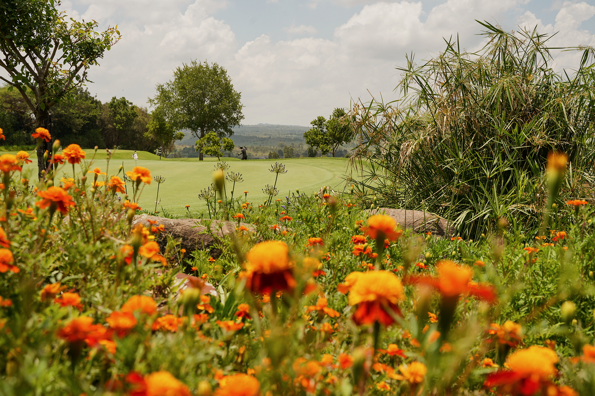 Blair-Atholl-Luxury-Estate-Gardens-3.png