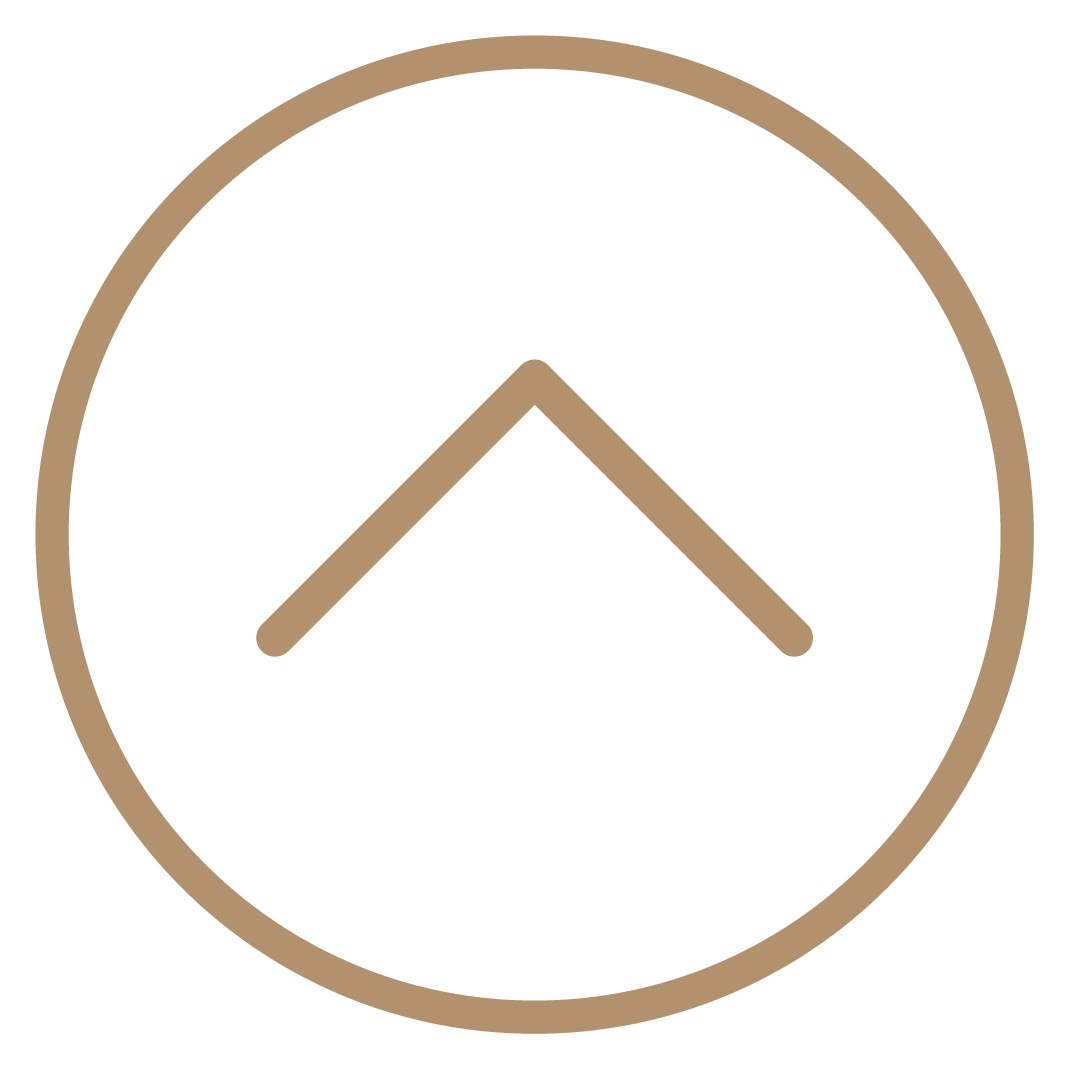 Scroll to Top