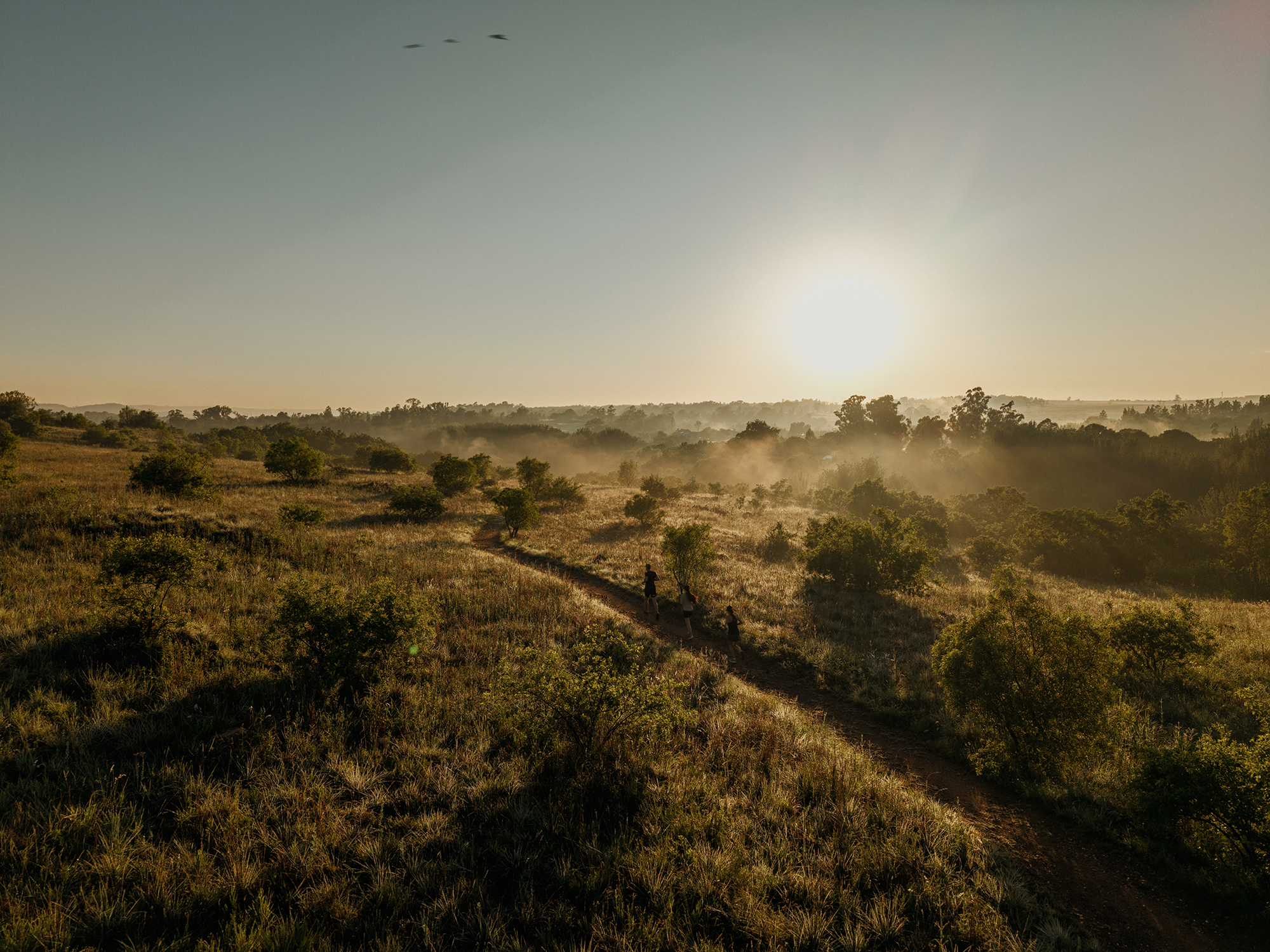 Blair-atholl-trail-running-jogging-brand-photography-1.png