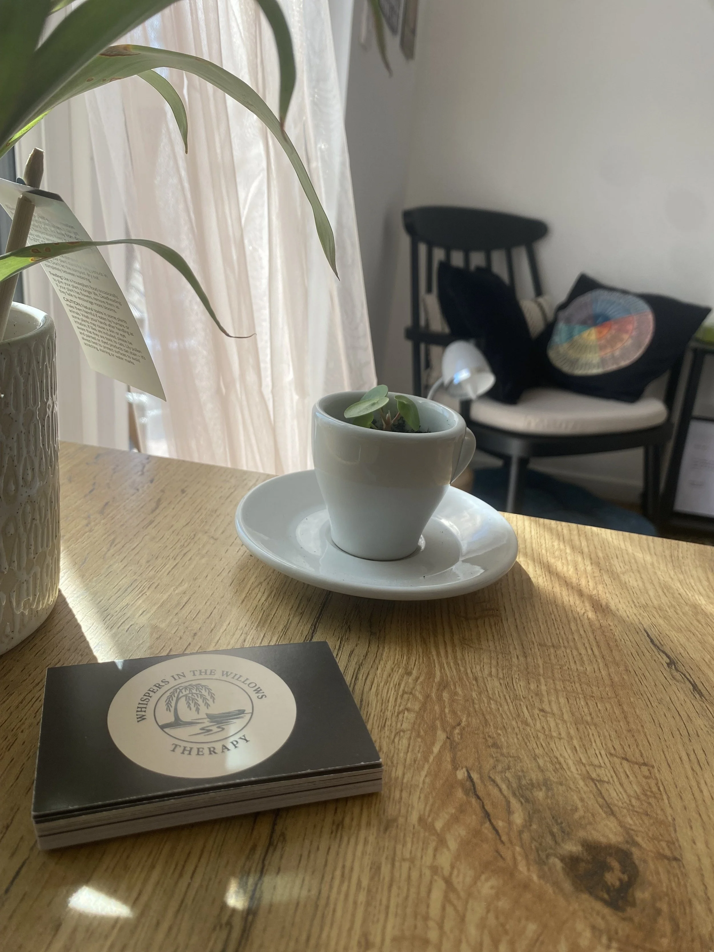 Louise's sunlit therapy room with a potted plant, a cup, and business cards on a wooden table beside a window with sheer curtains