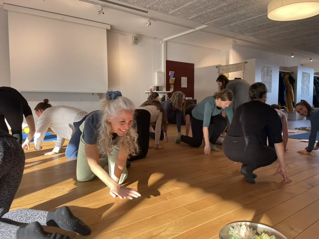 Menschen beim Yoga oder einer Entspannungsübung in einem Raum mit Holzboden