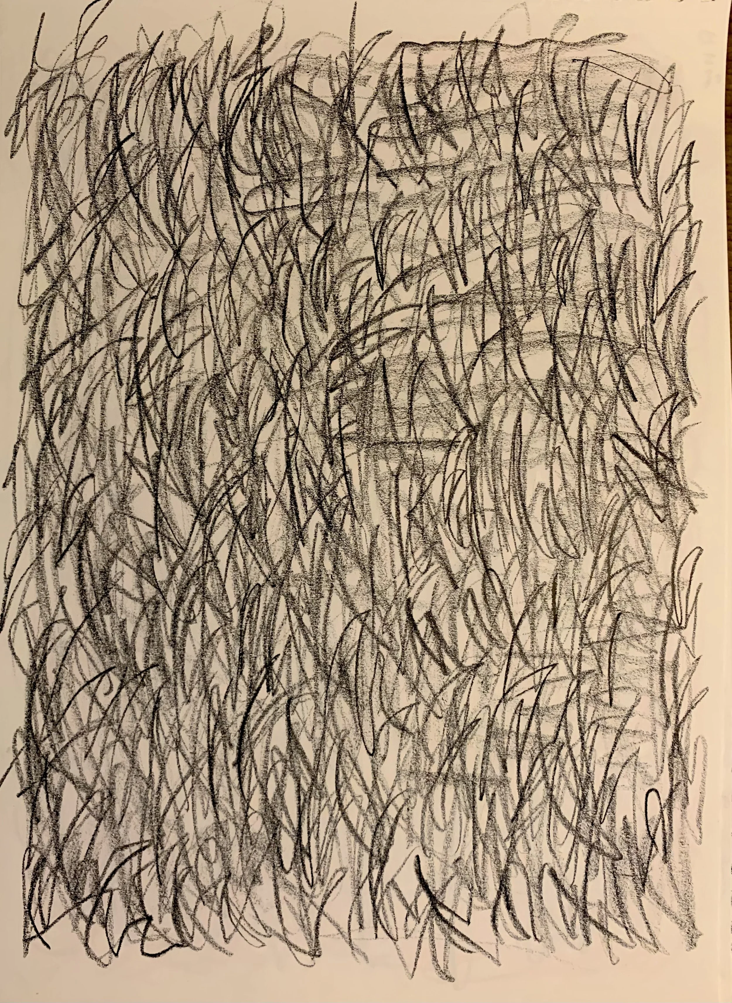 IMG_0815.jpeg