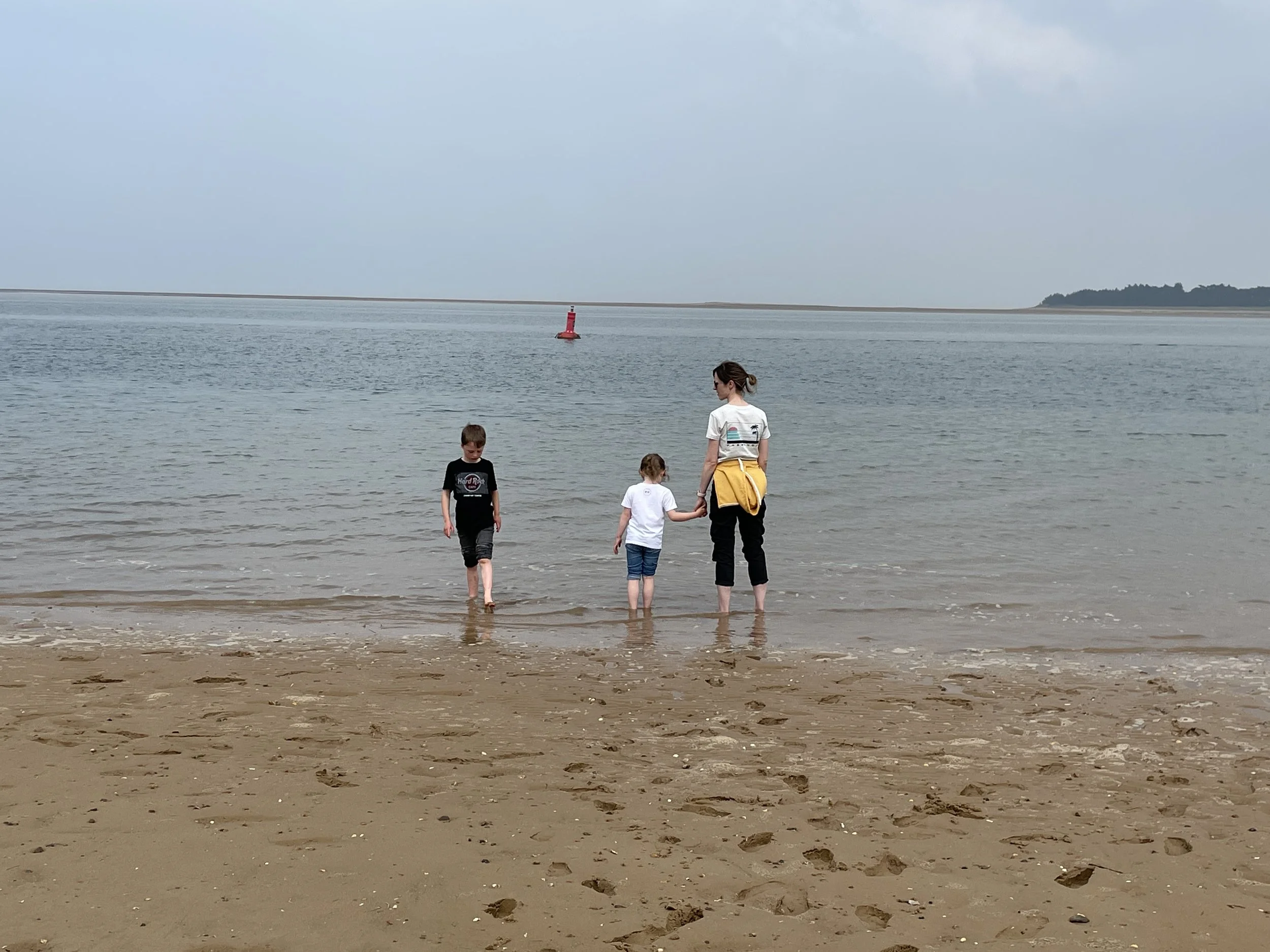 IMG_2332.JPG
