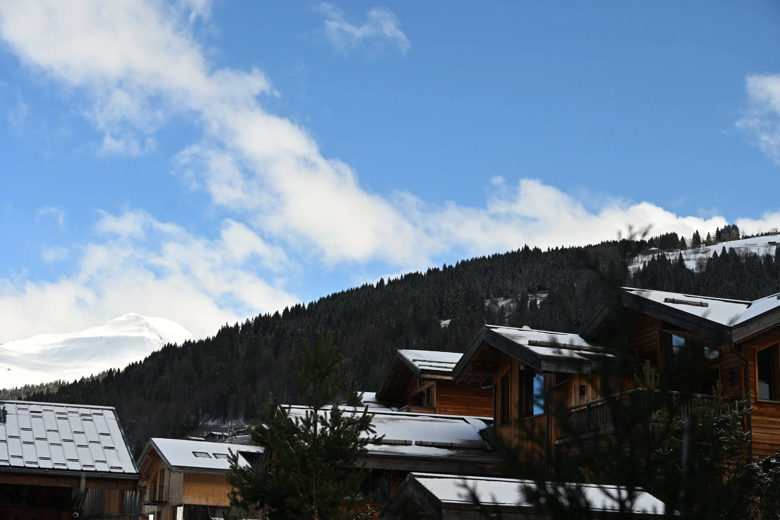 DSC_2082.JPG