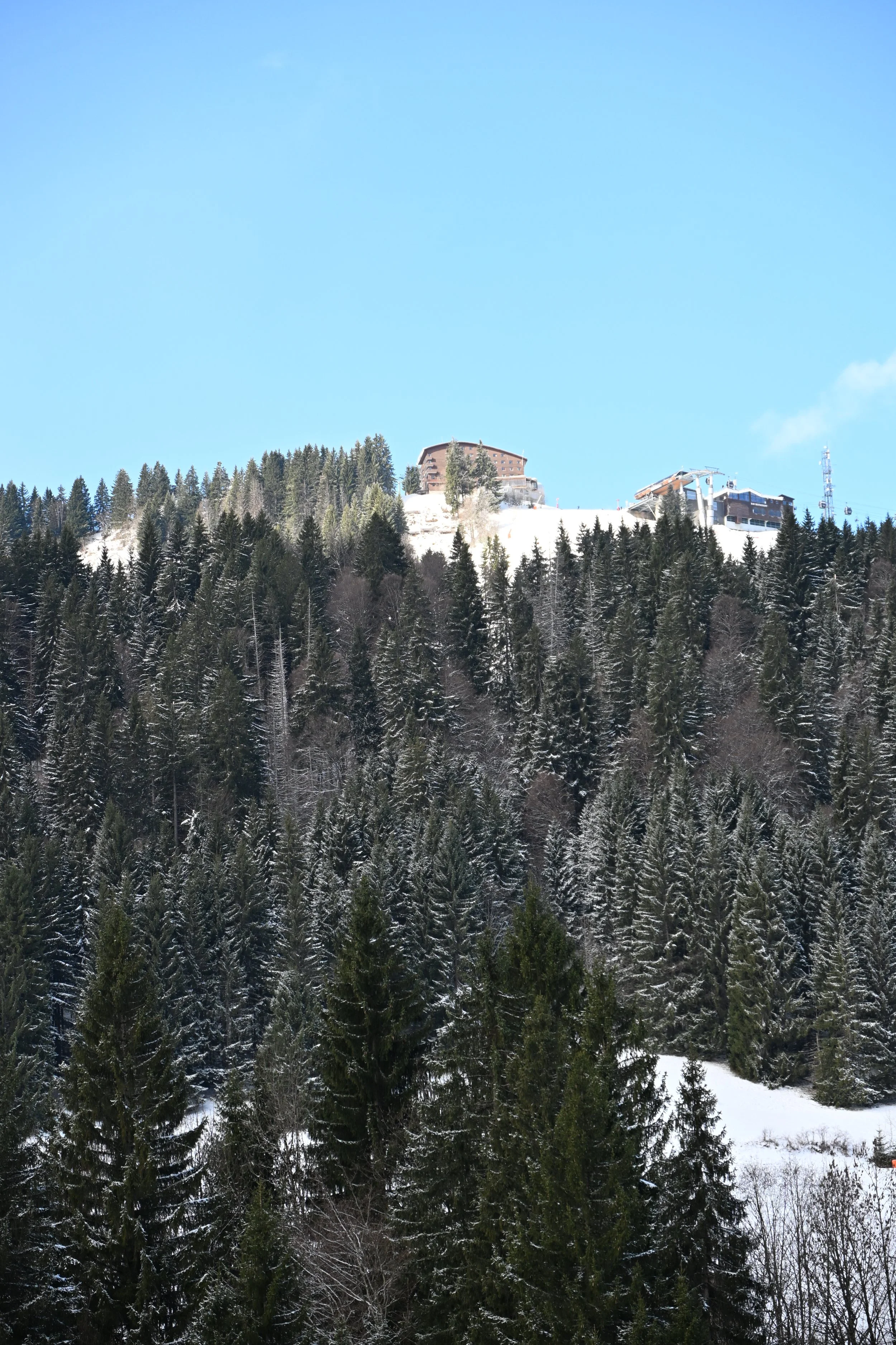 DSC_2083.JPG