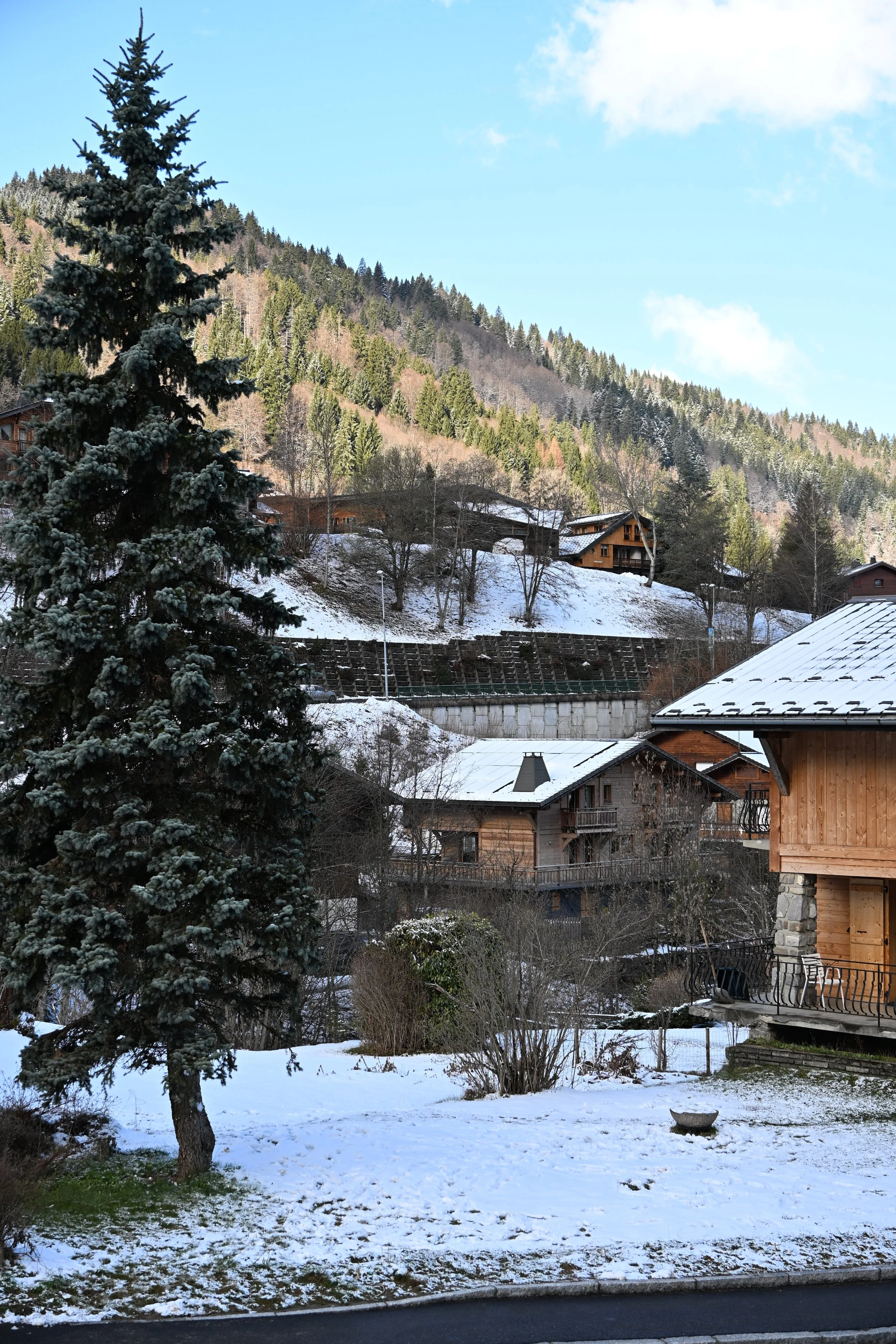 DSC_2084.JPG