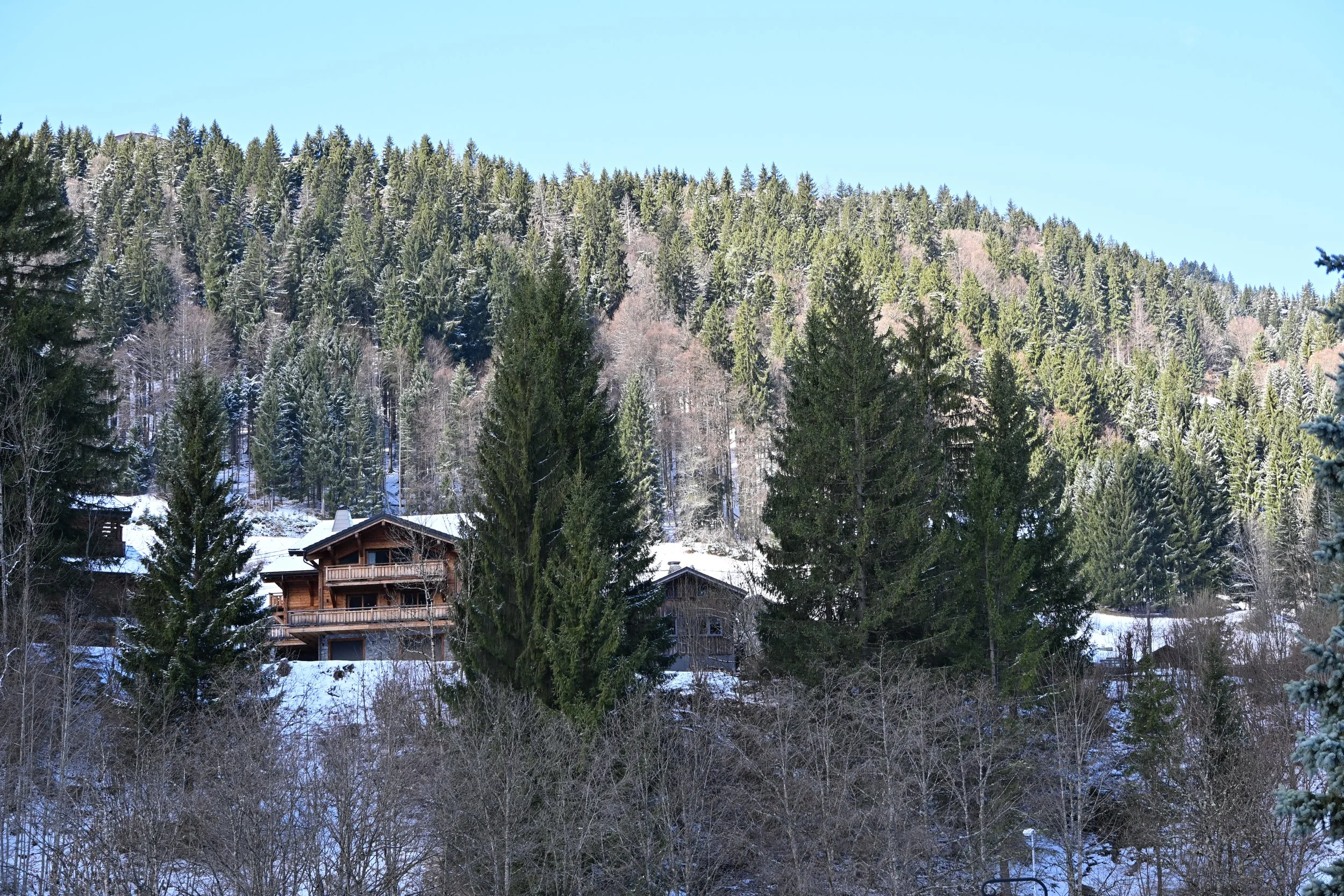 DSC_2085.JPG
