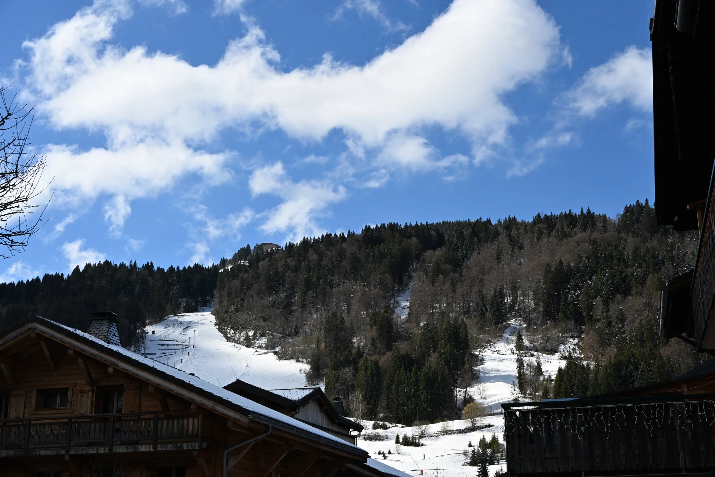 DSC_2091.JPG