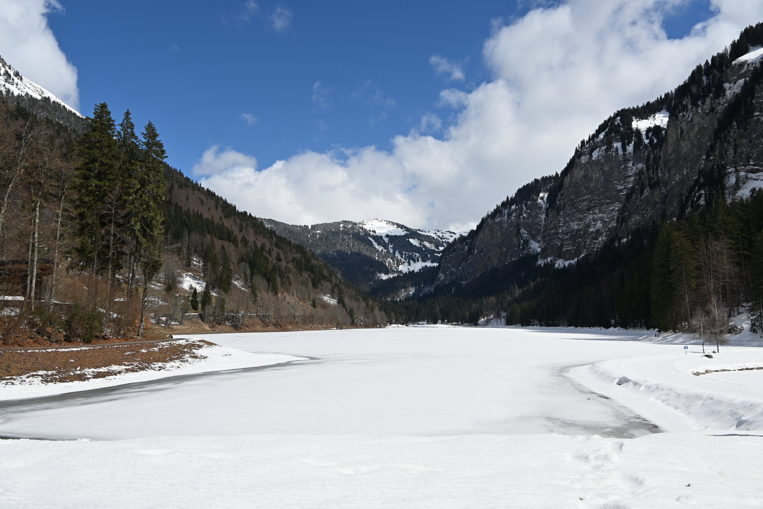 DSC_2100.JPG
