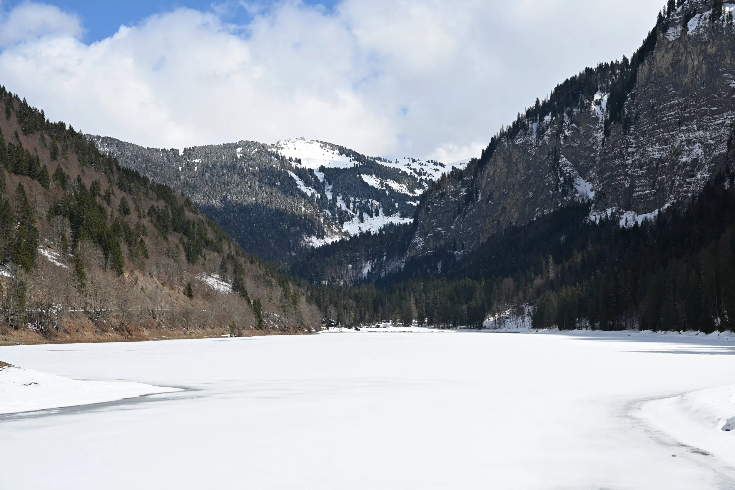 DSC_2101.JPG