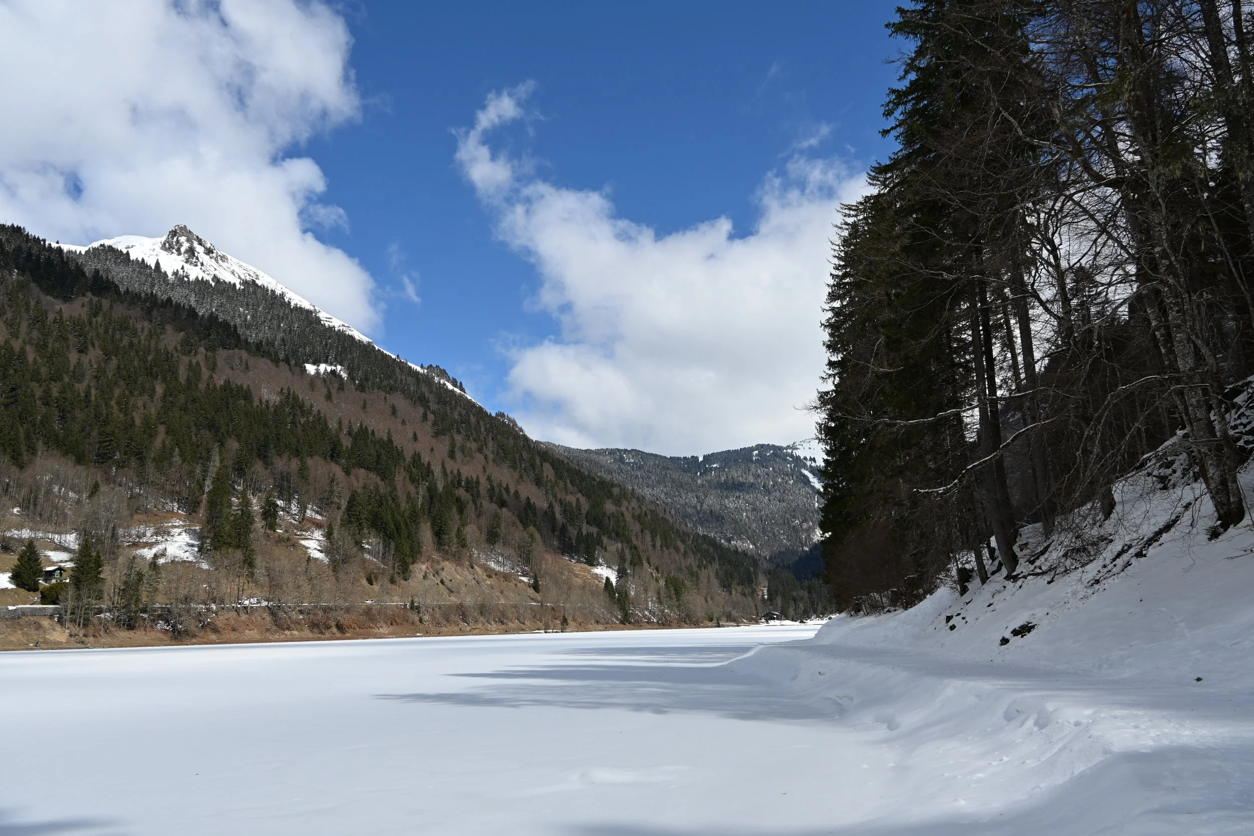 DSC_2113.JPG