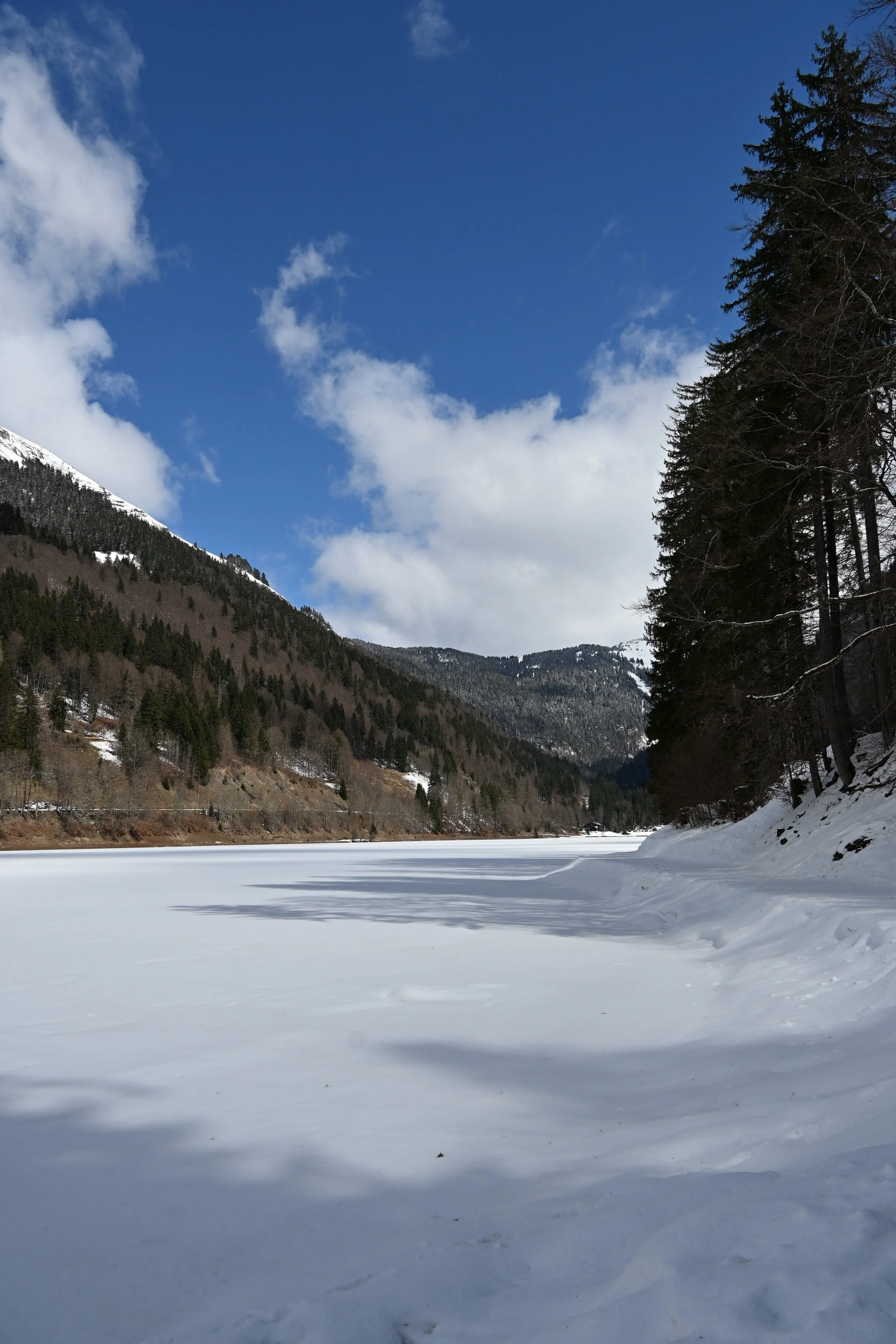 DSC_2114.JPG