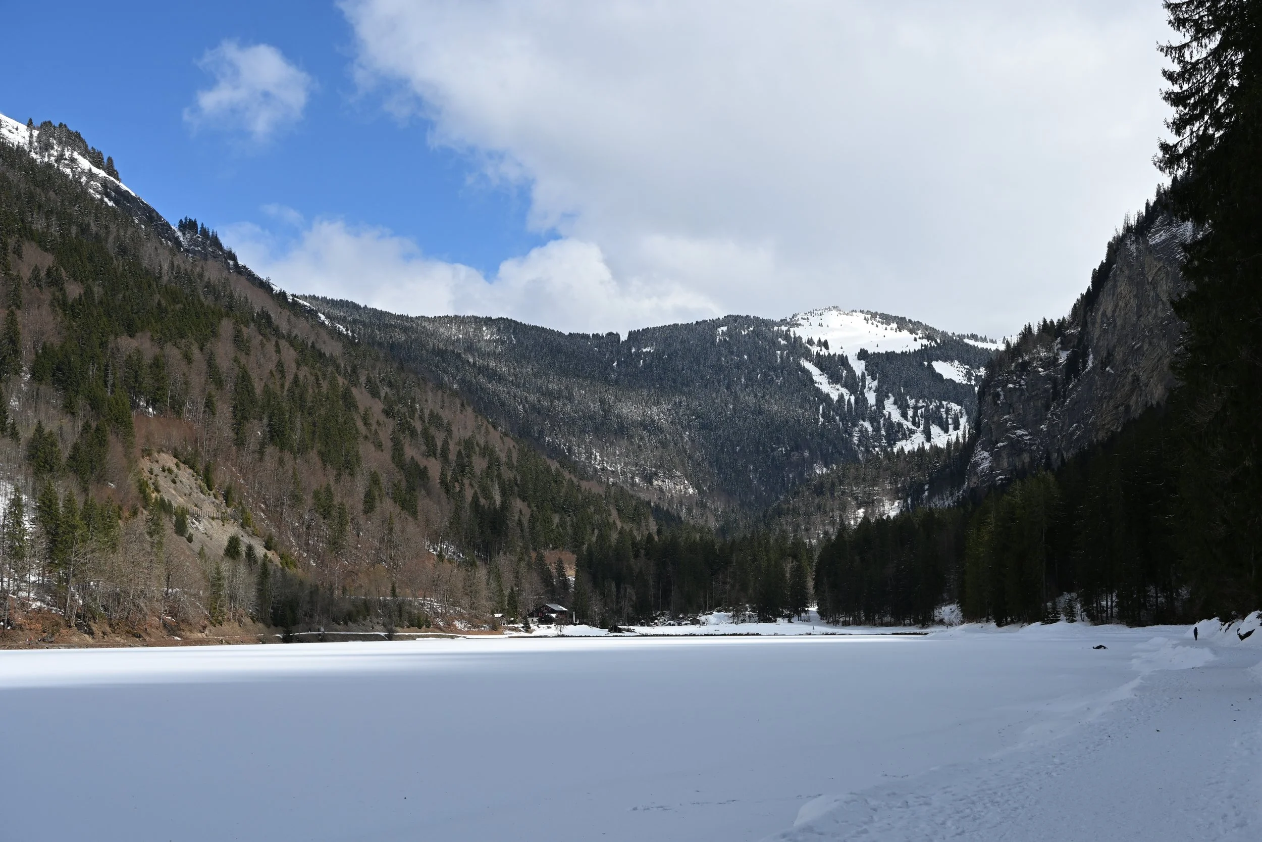 DSC_2115.JPG
