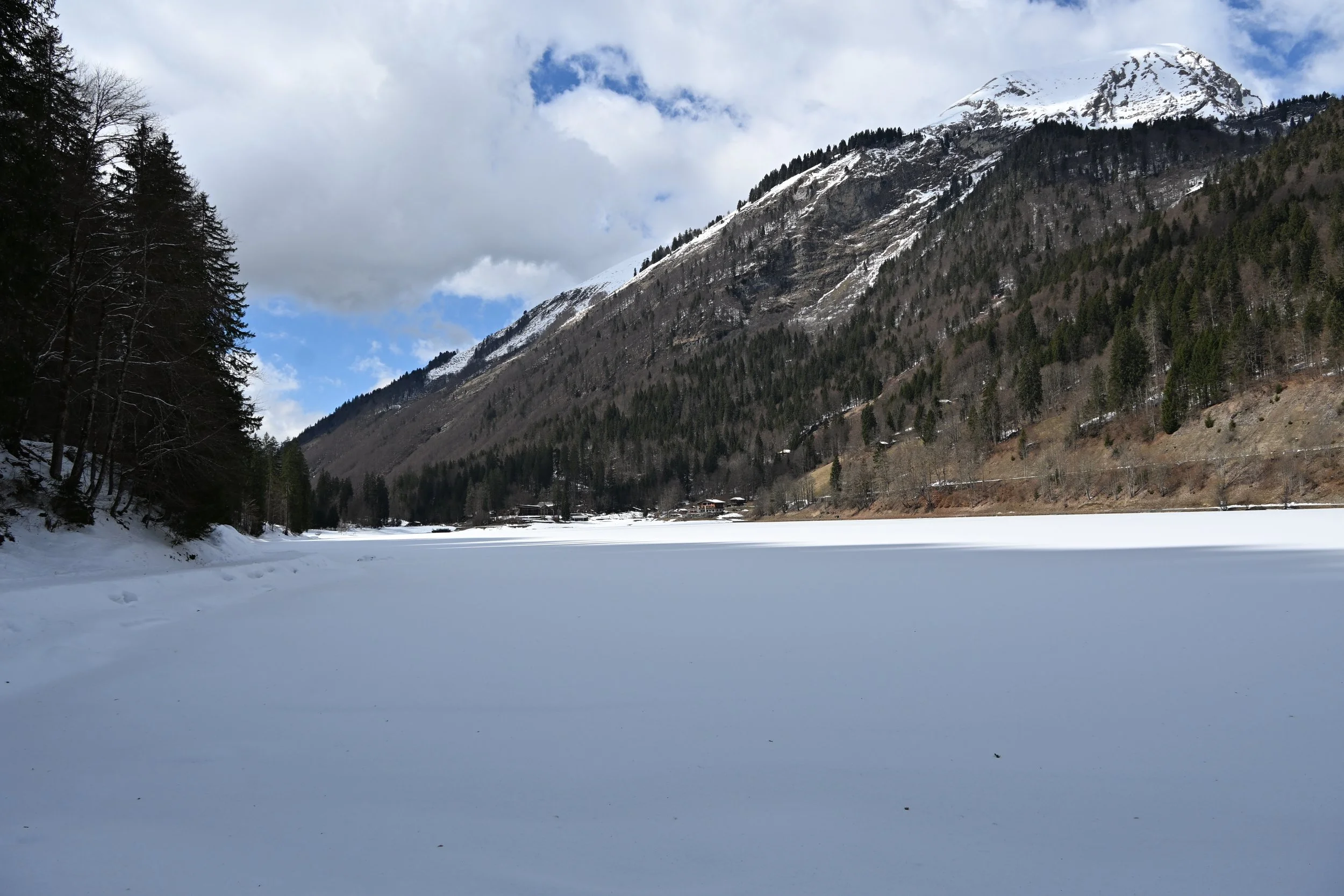 DSC_2116.JPG