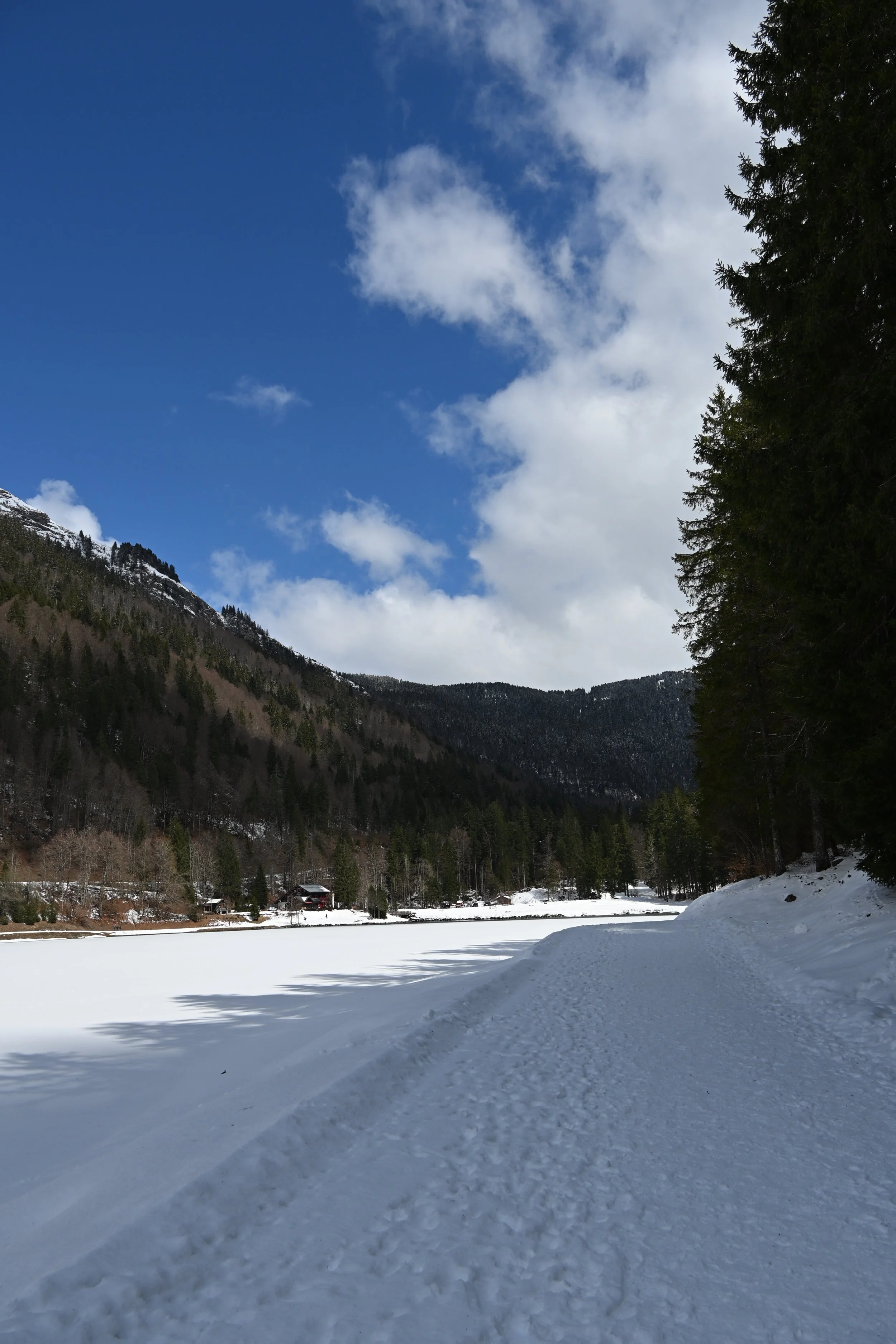 DSC_2117.JPG