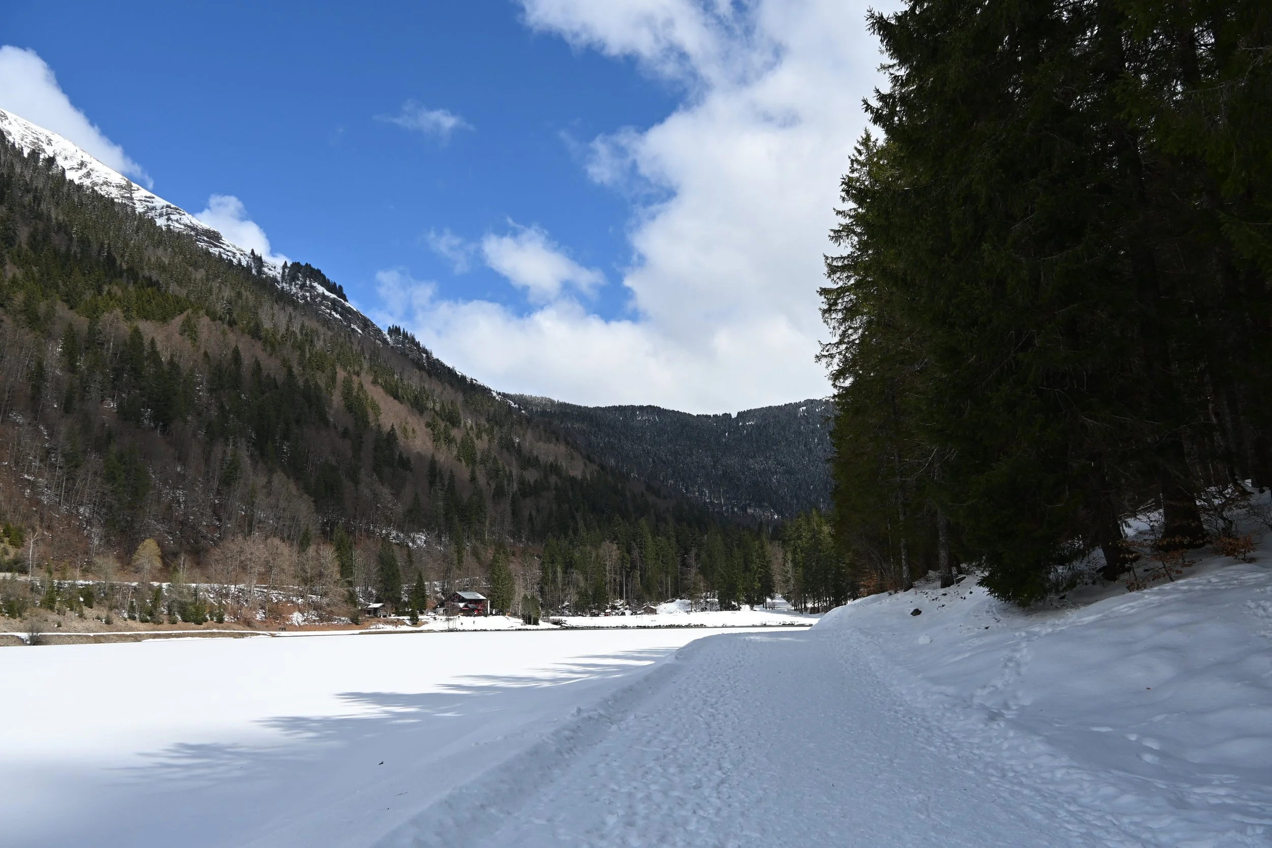 DSC_2118.JPG