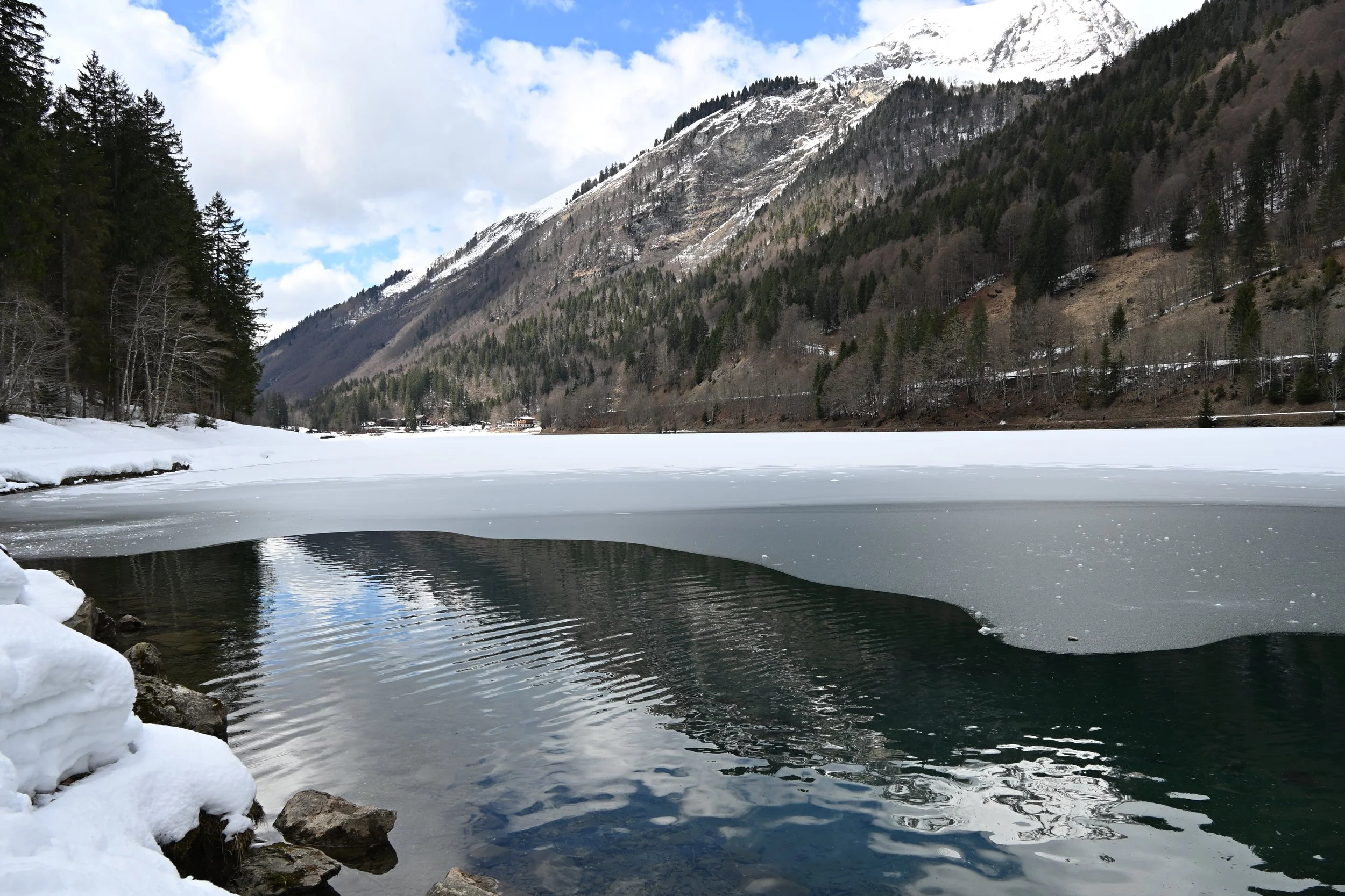 DSC_2133.JPG