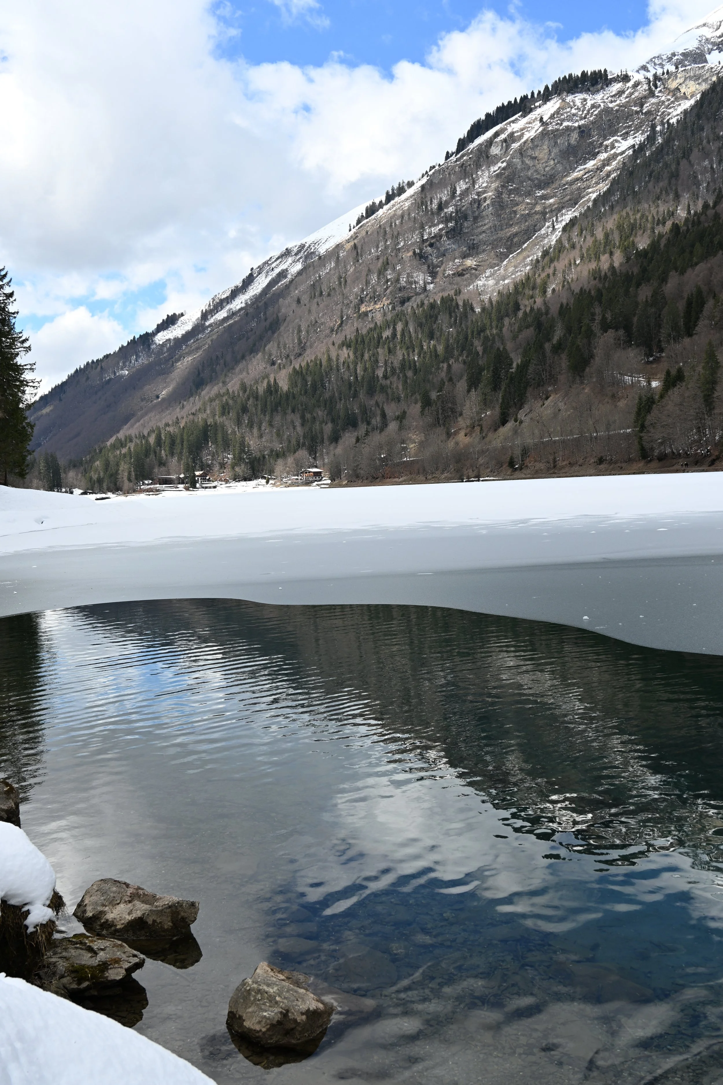 DSC_2134.JPG