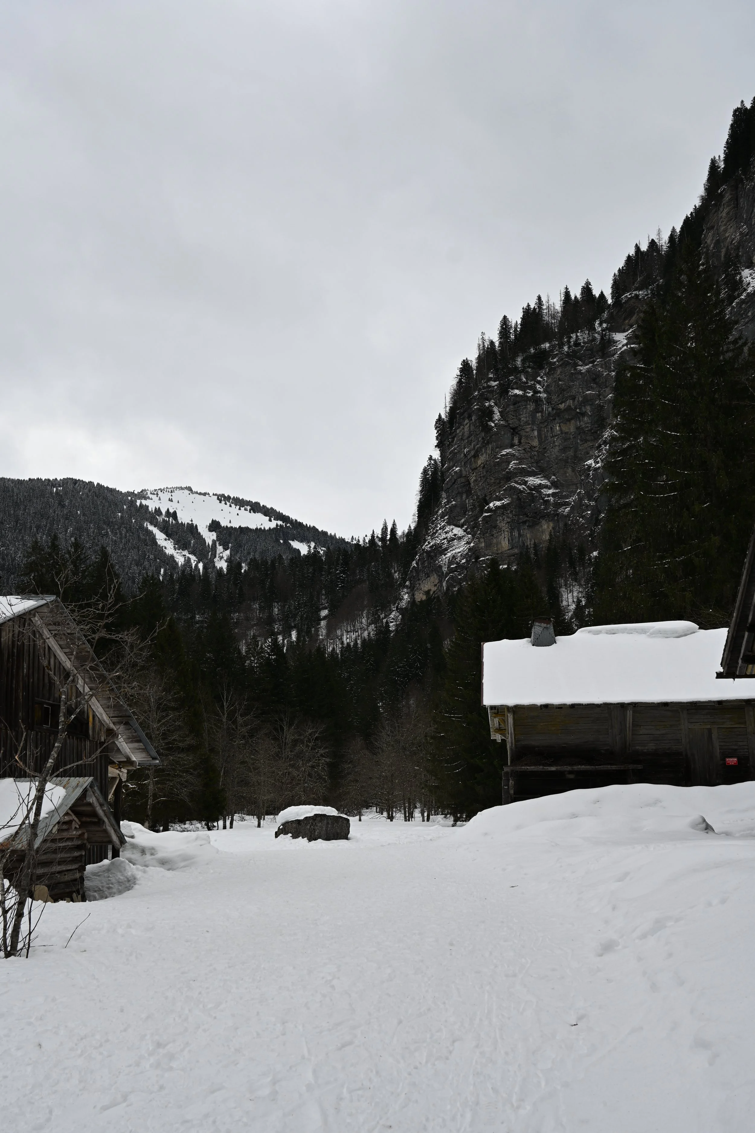 DSC_2145.JPG