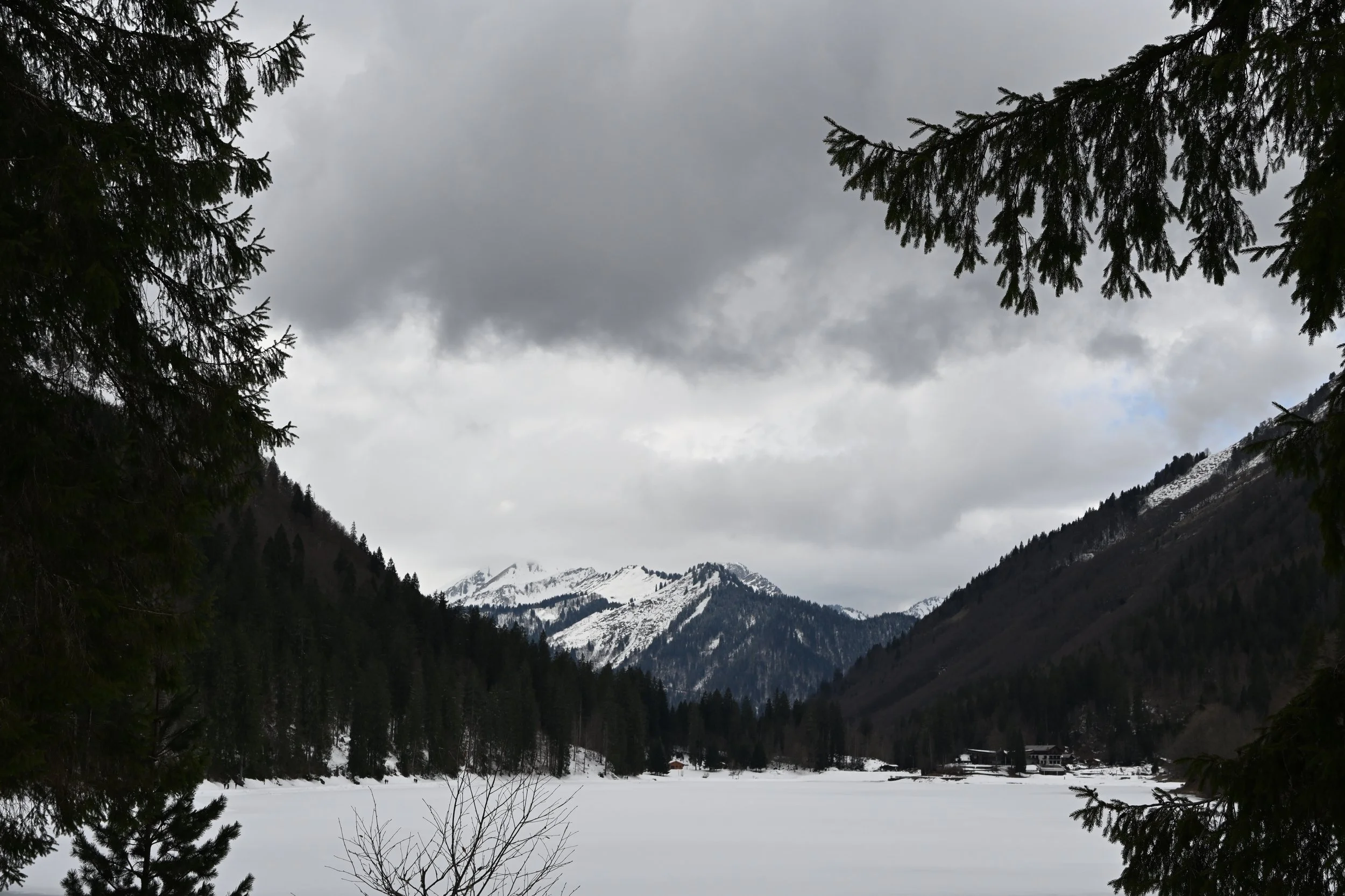 DSC_2147.JPG