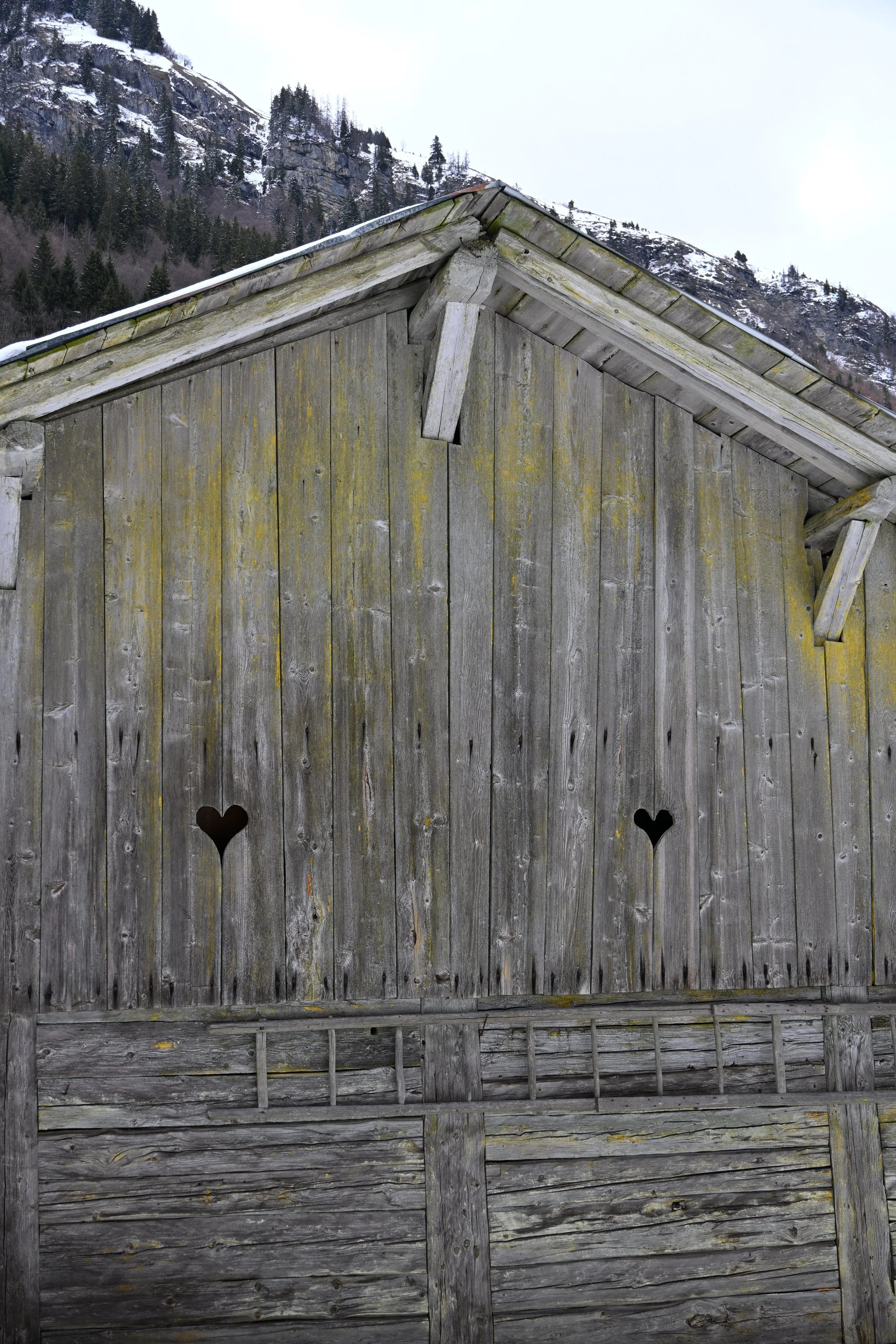 DSC_2146.JPG