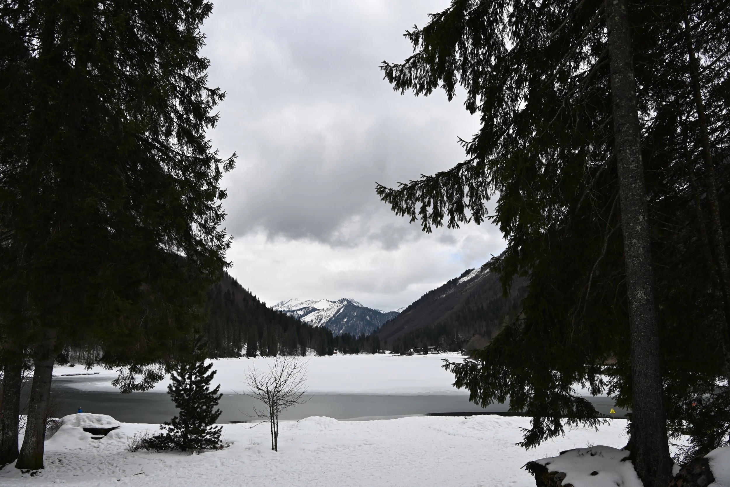DSC_2148.JPG
