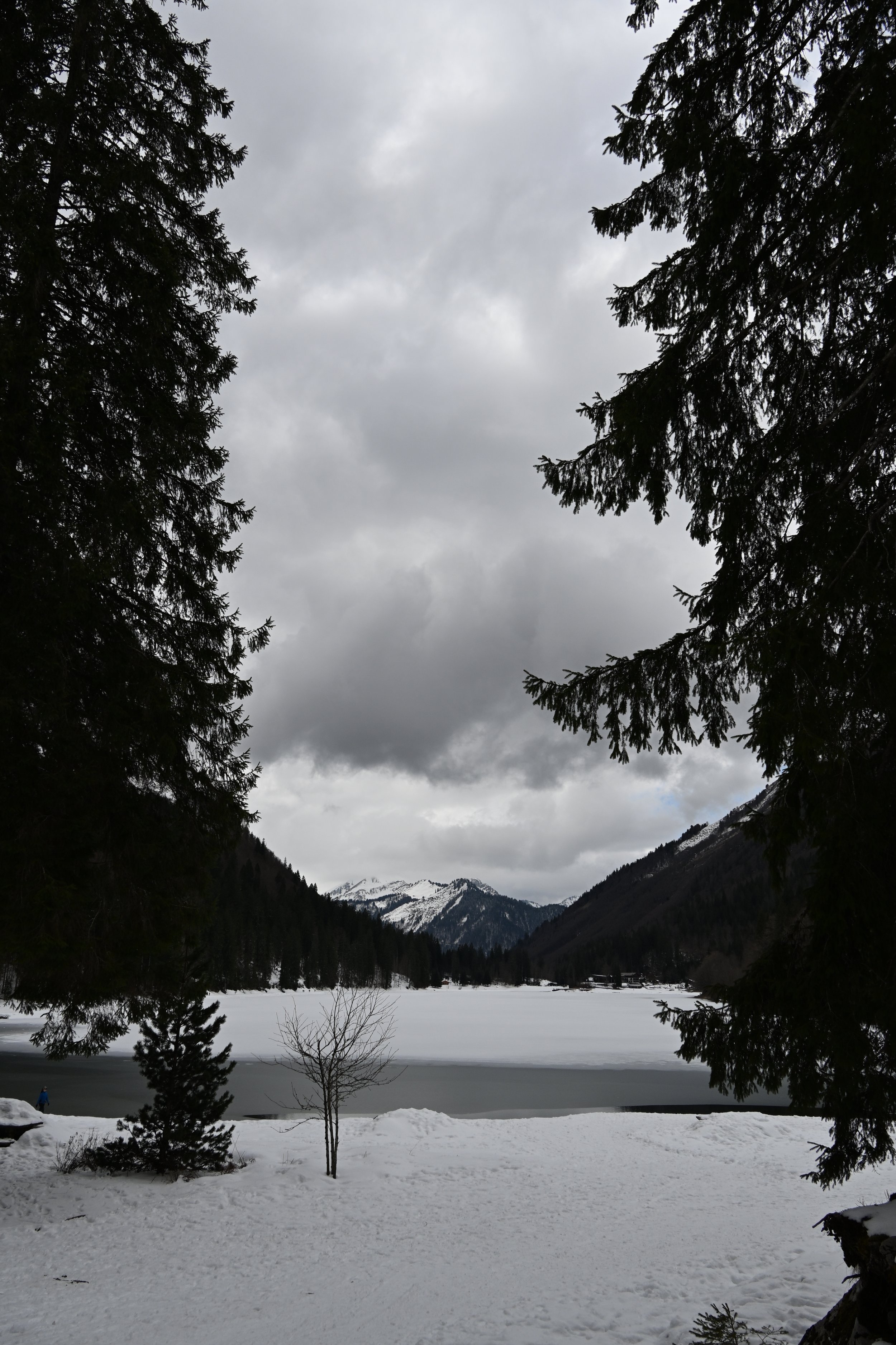 DSC_2149.JPG