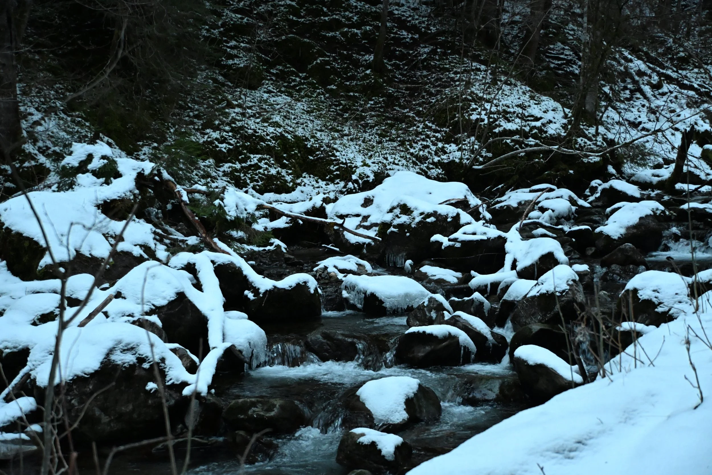 DSC_2157.JPG