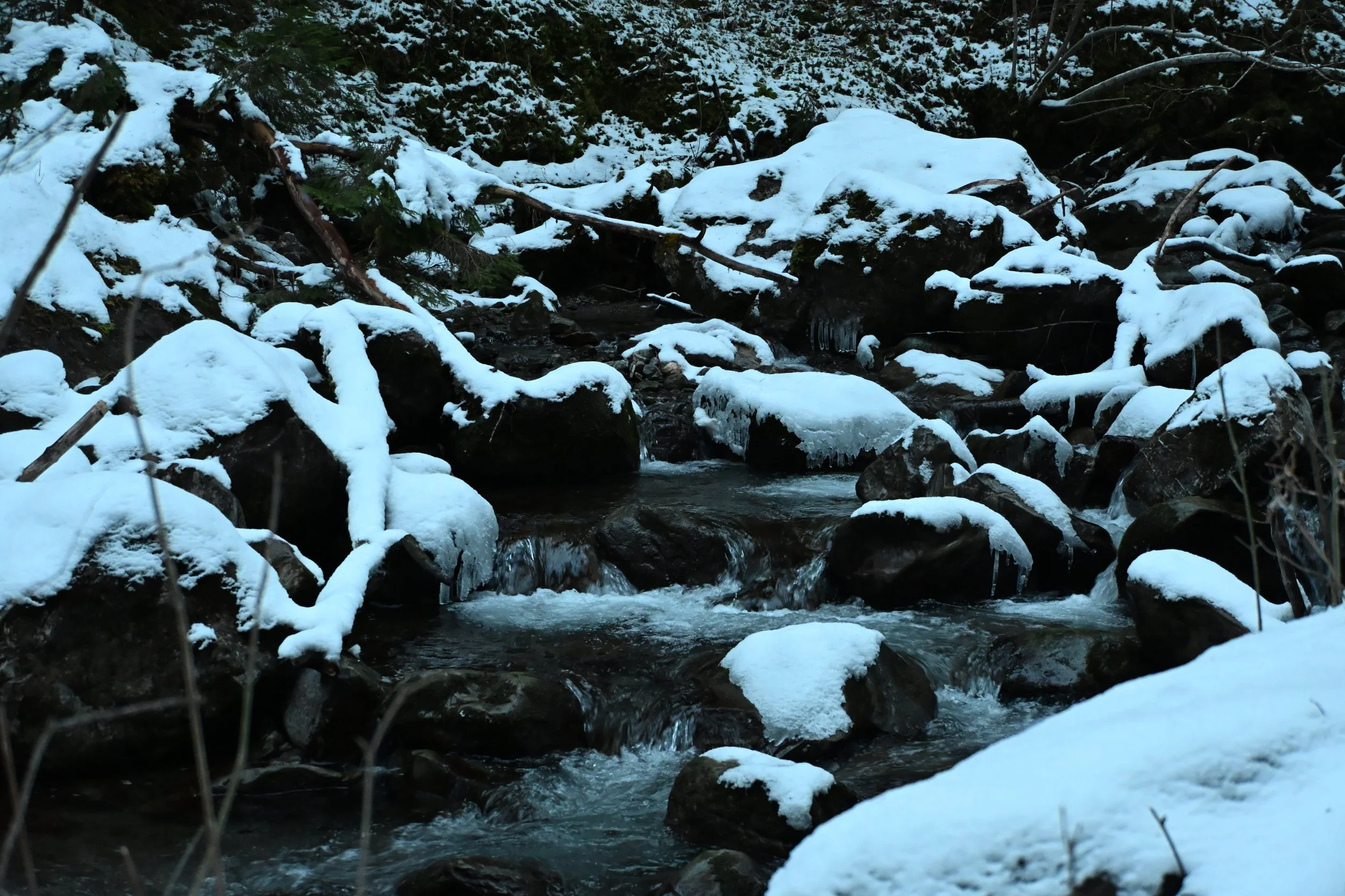 DSC_2159.JPG