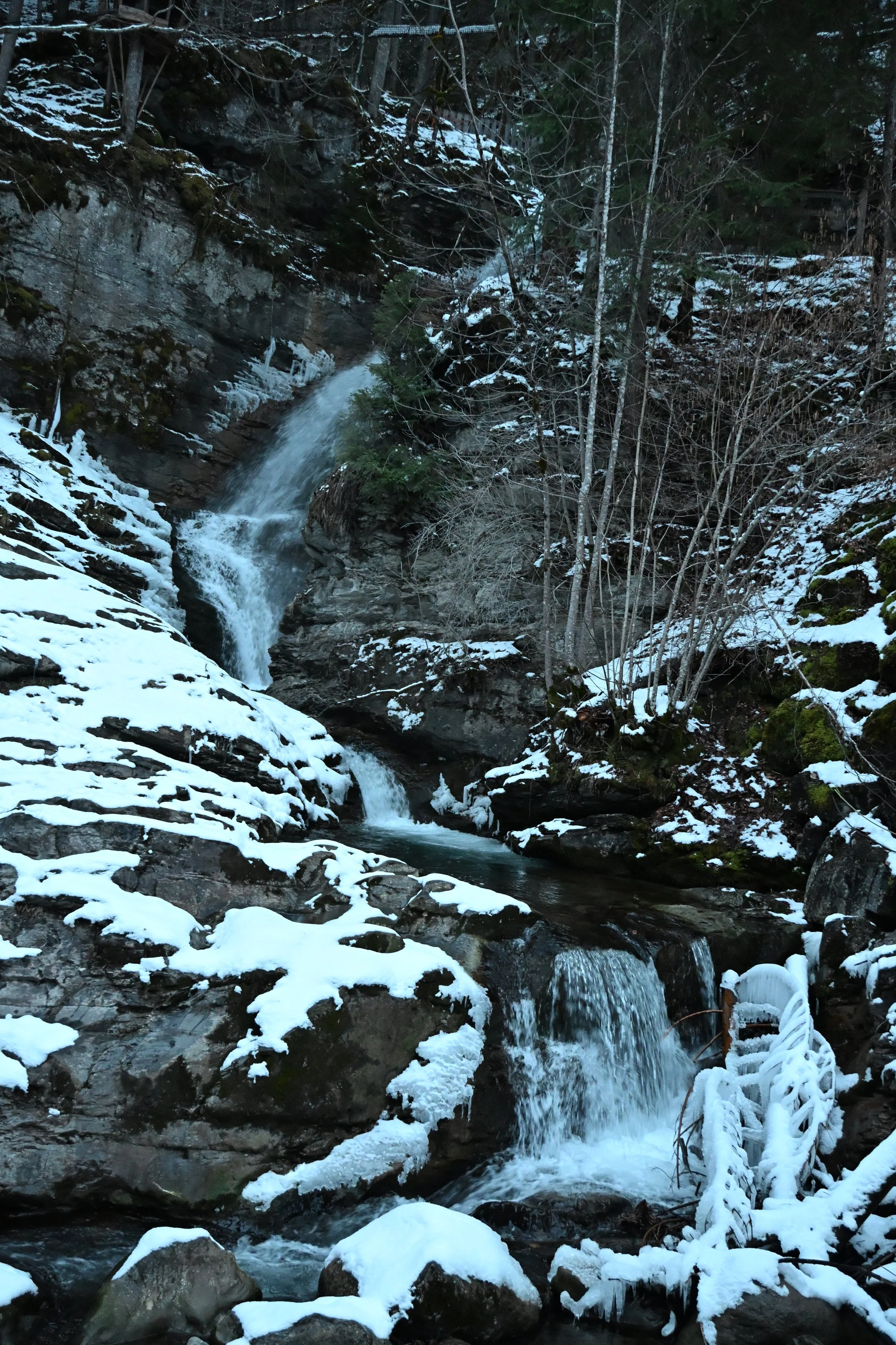 DSC_2160.JPG