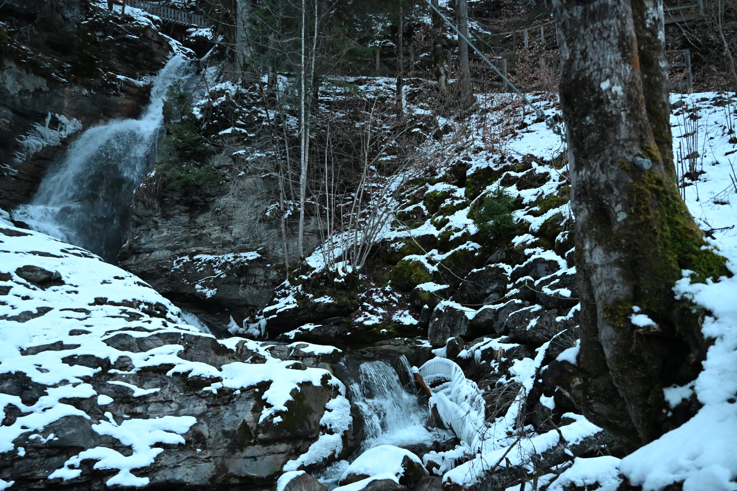 DSC_2164.JPG