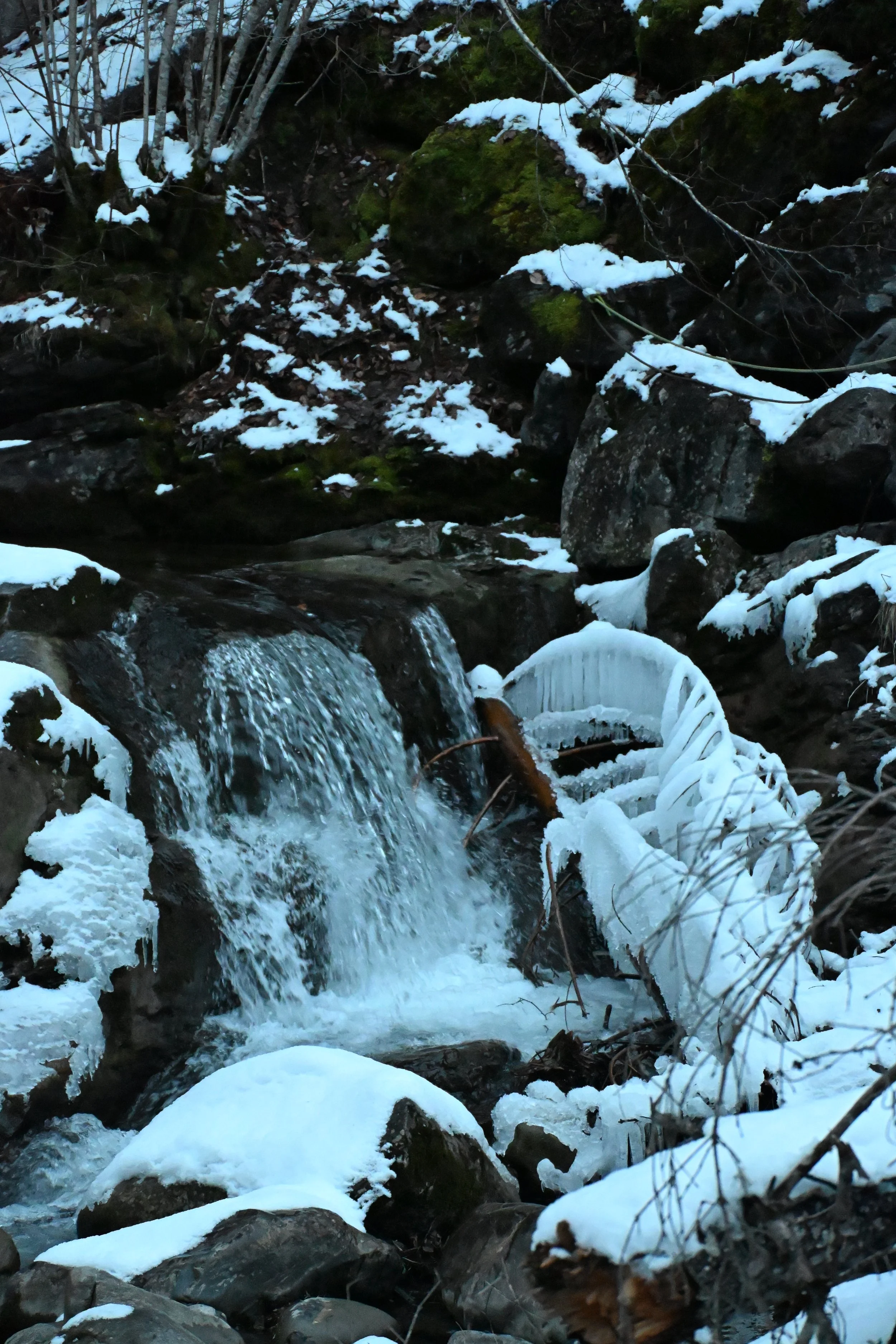 DSC_2166.JPG