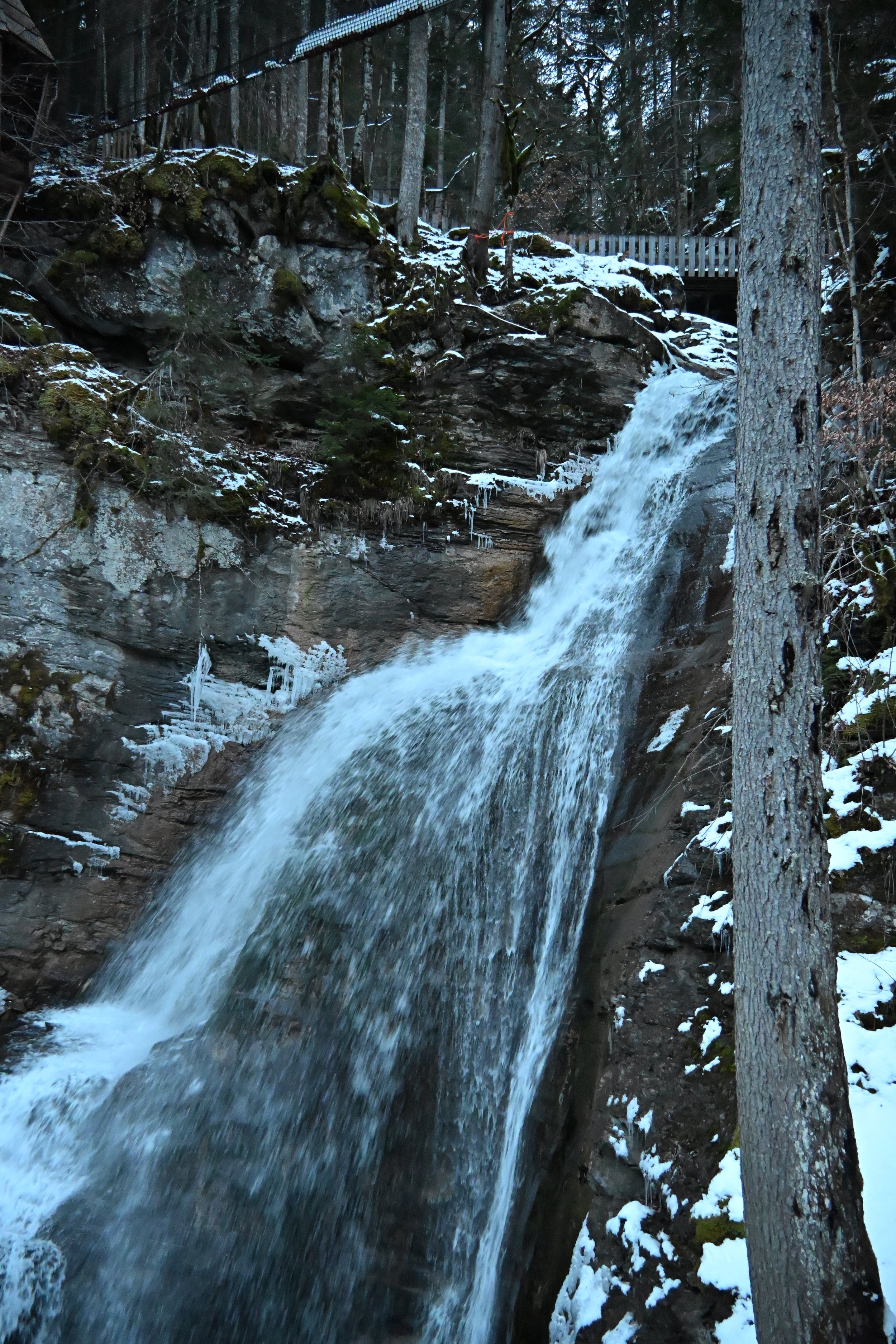 DSC_2172.JPG