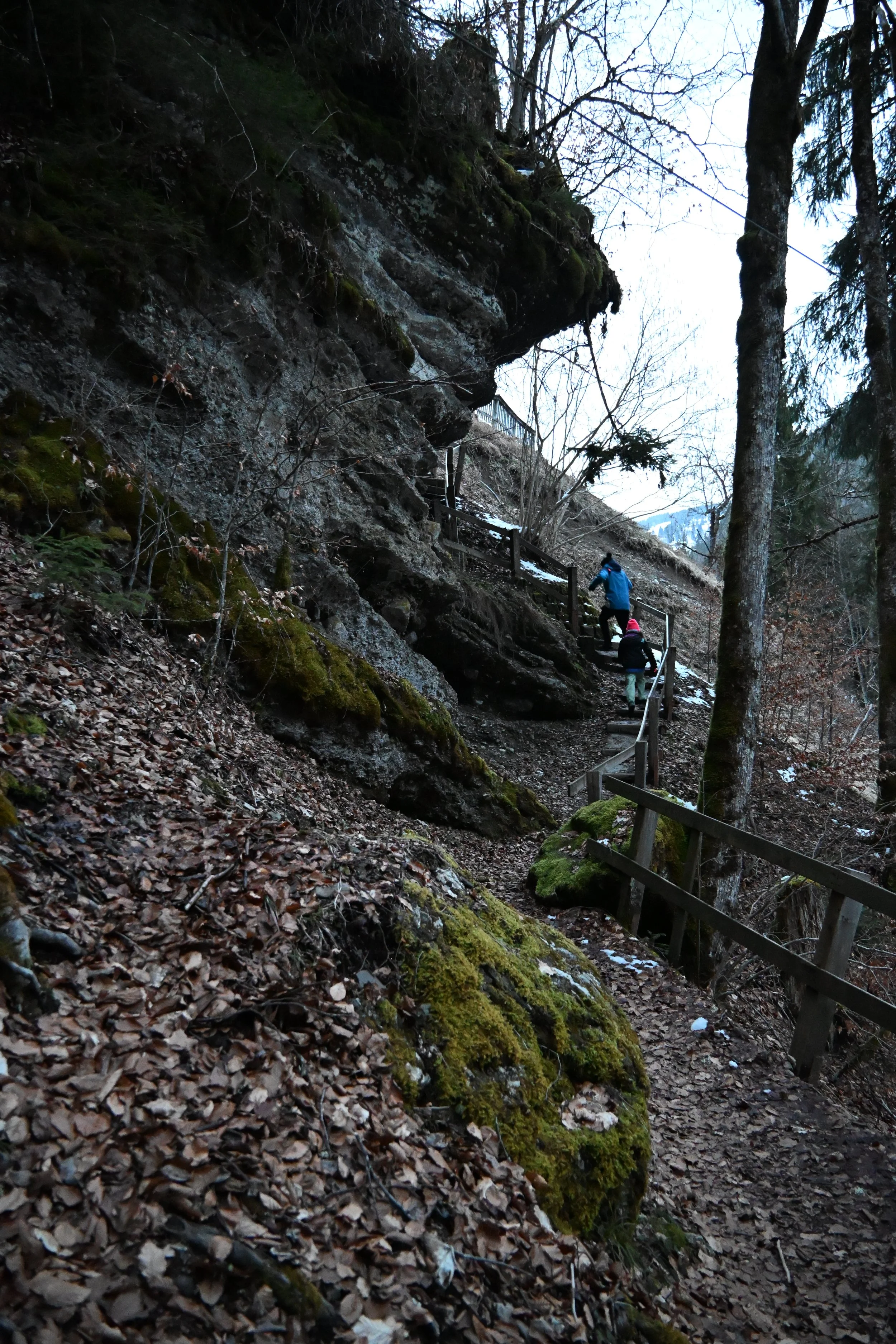 DSC_2178.JPG