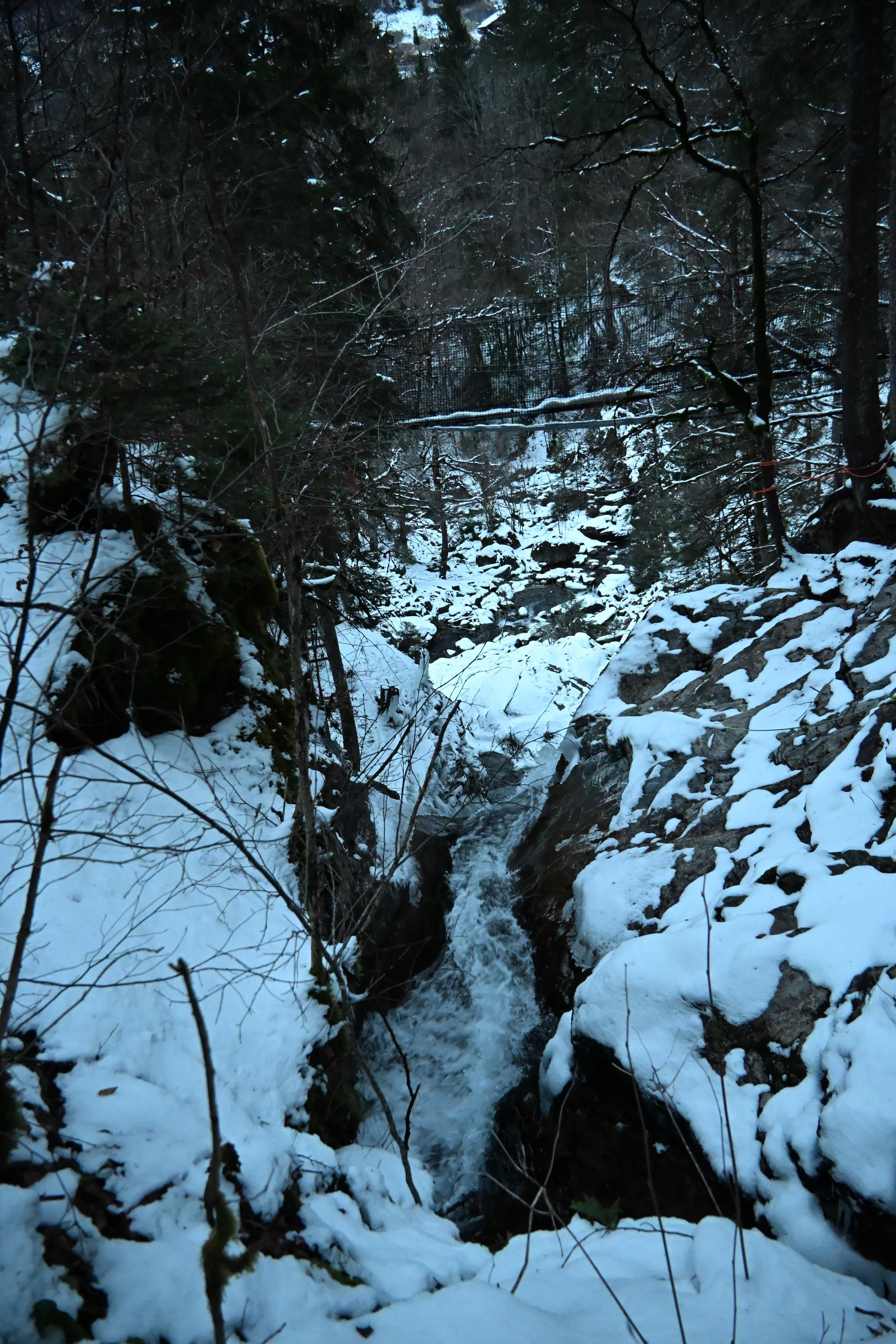 DSC_2180.JPG