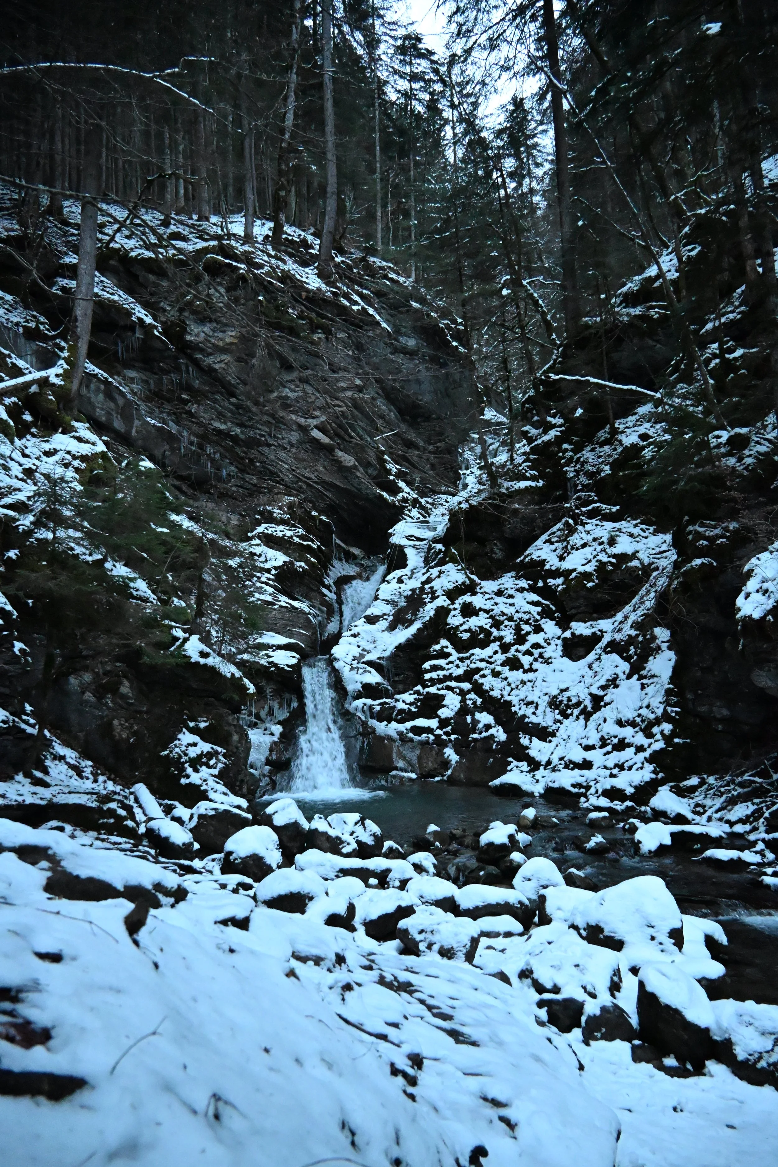 DSC_2181.JPG