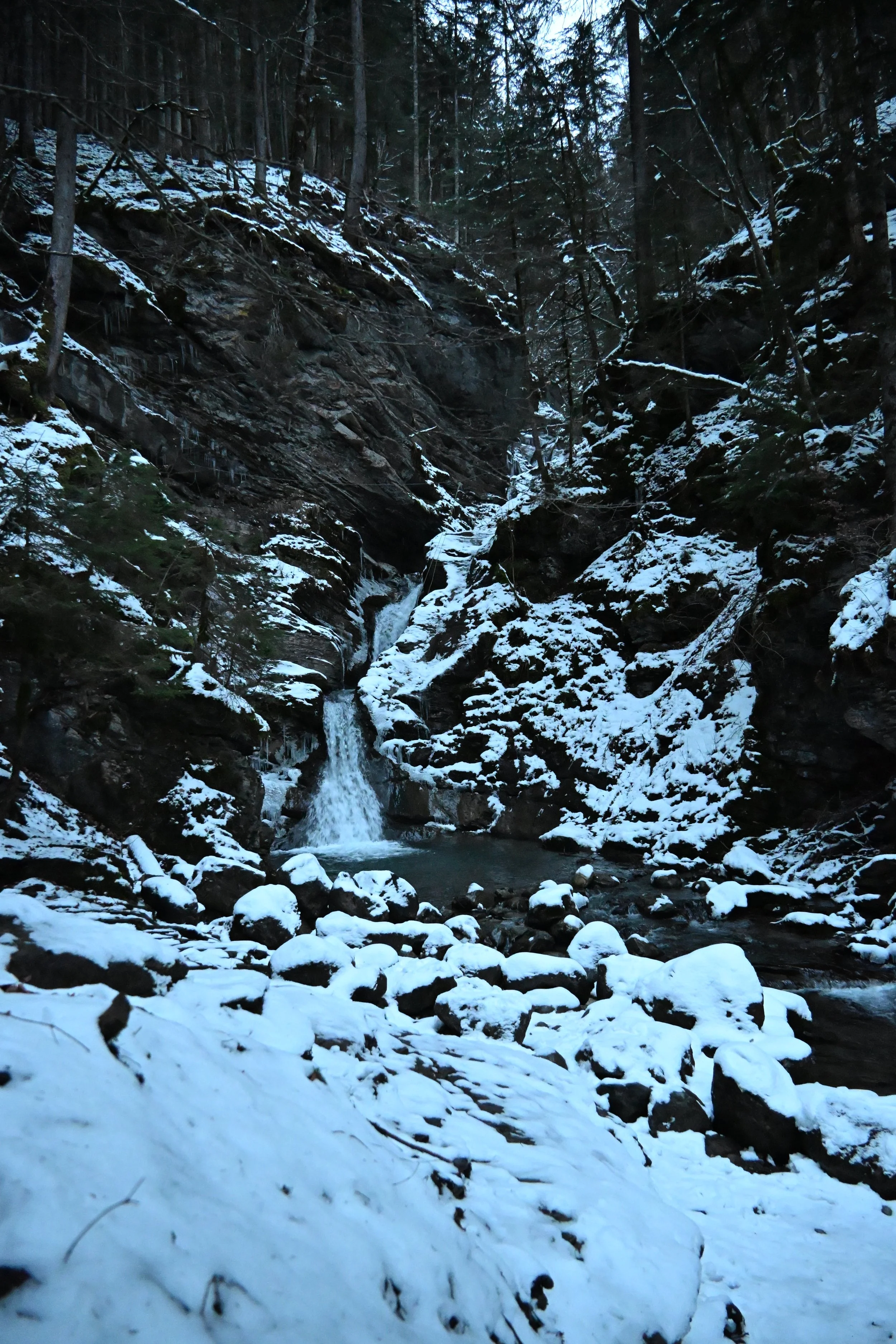DSC_2183.JPG