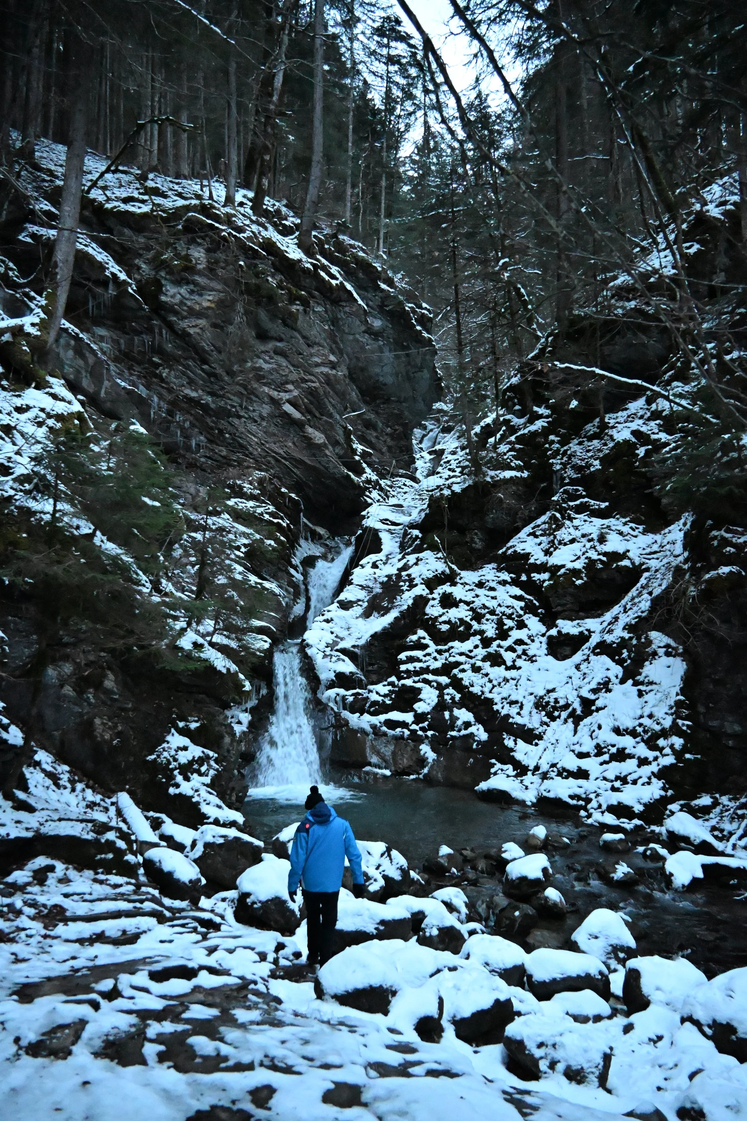 DSC_2185.JPG