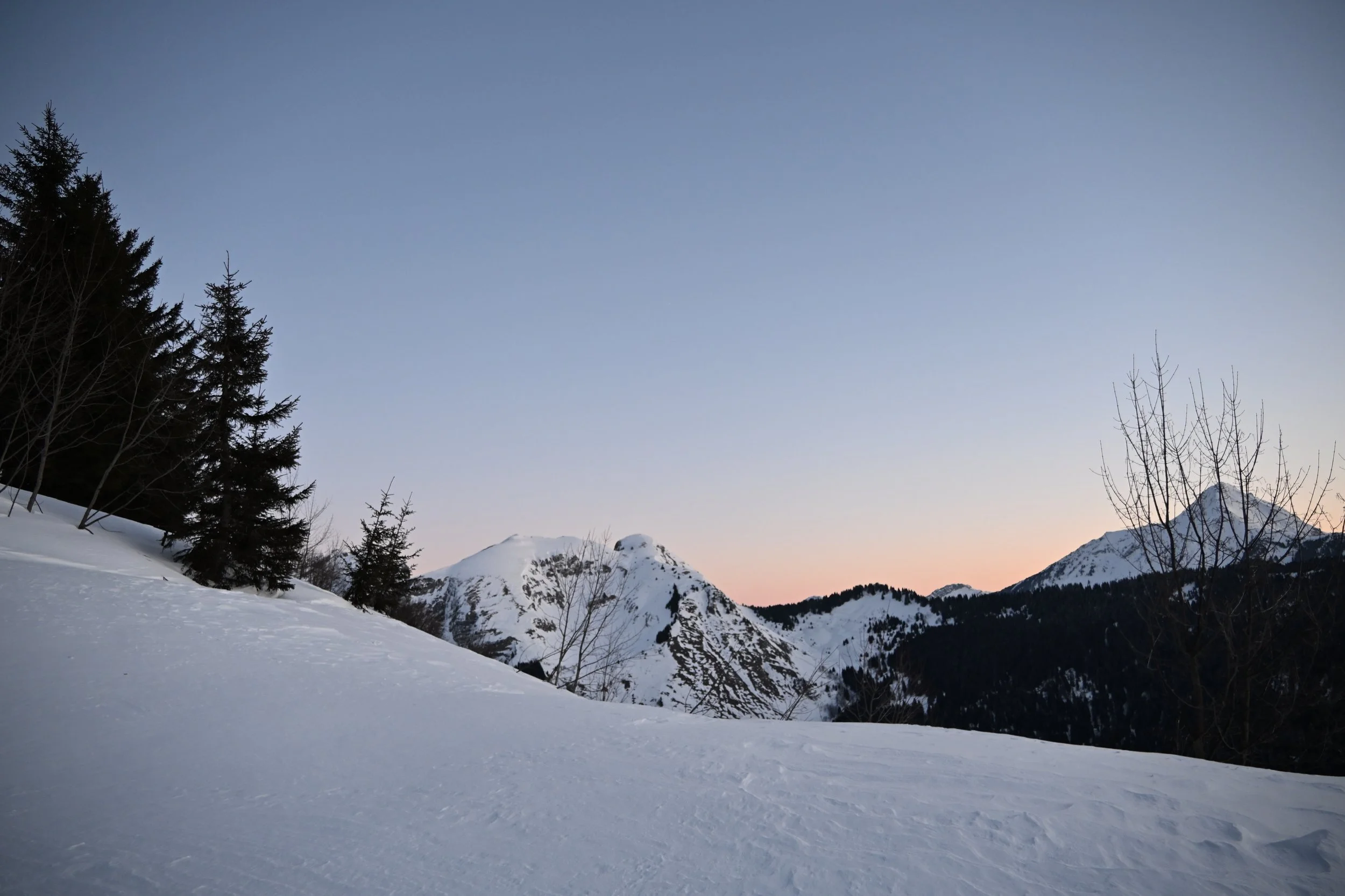 DSC_2269.JPG