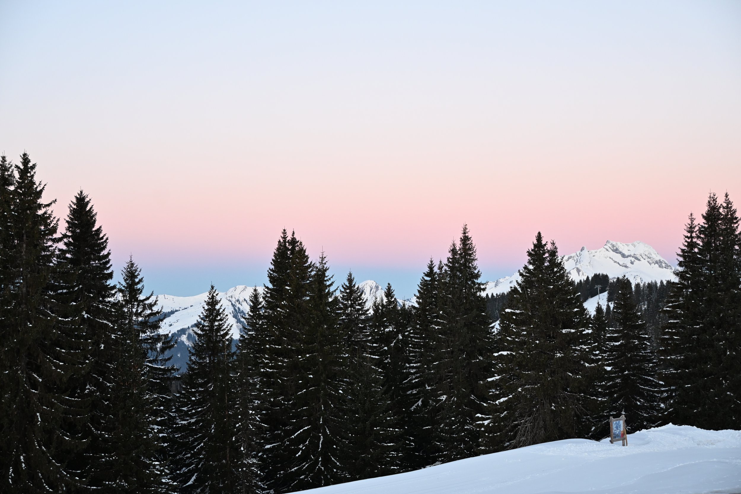 DSC_2278.JPG