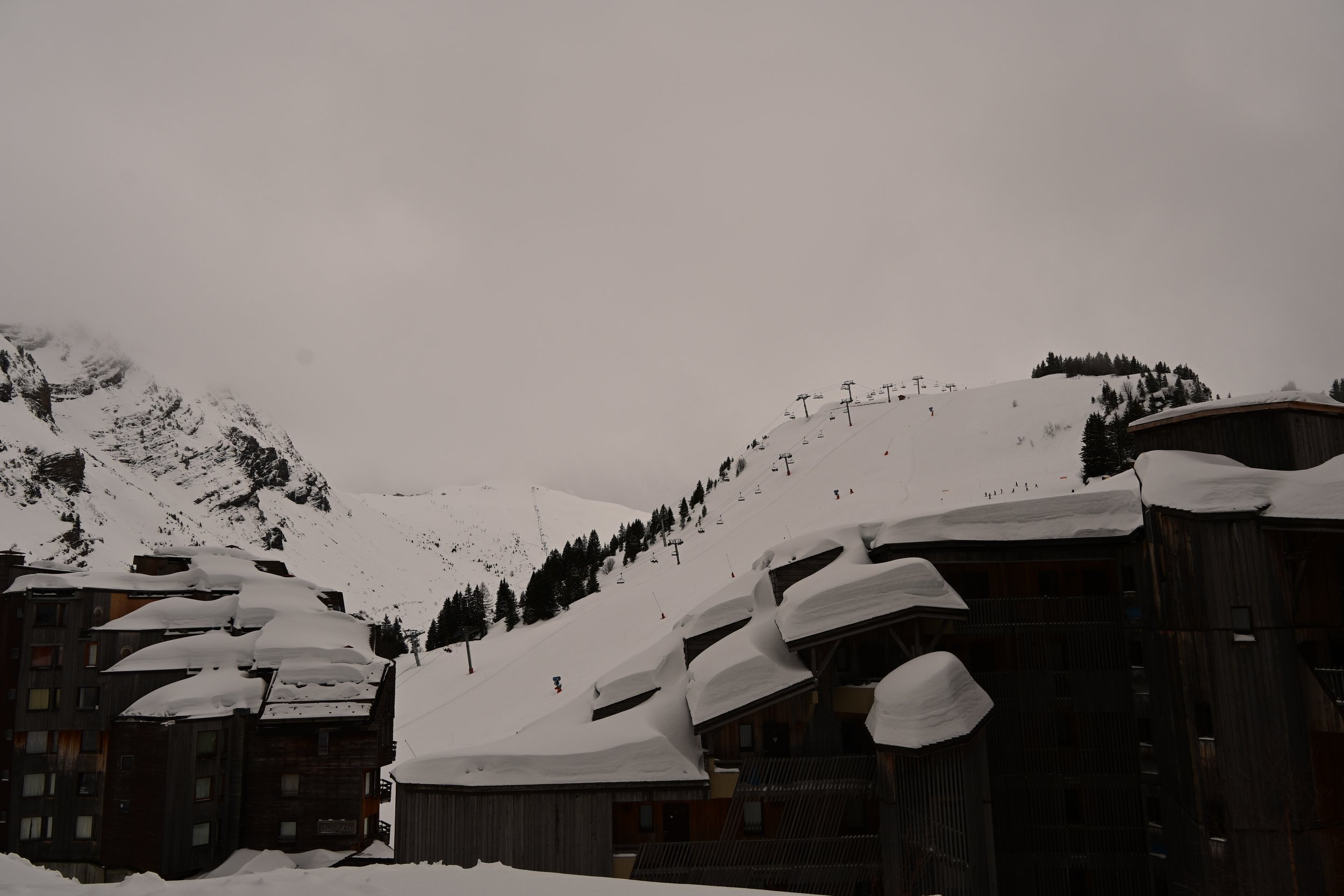 DSC_2209.JPG