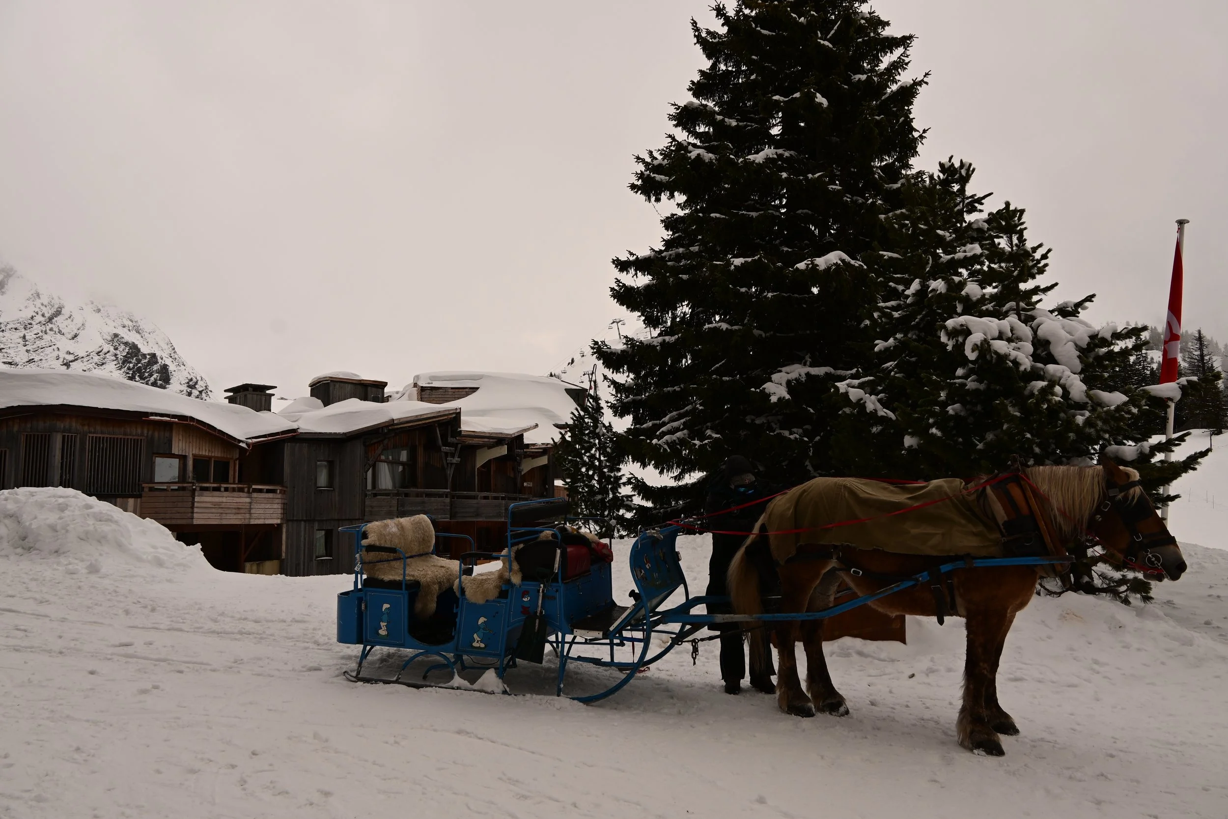 DSC_2208.JPG