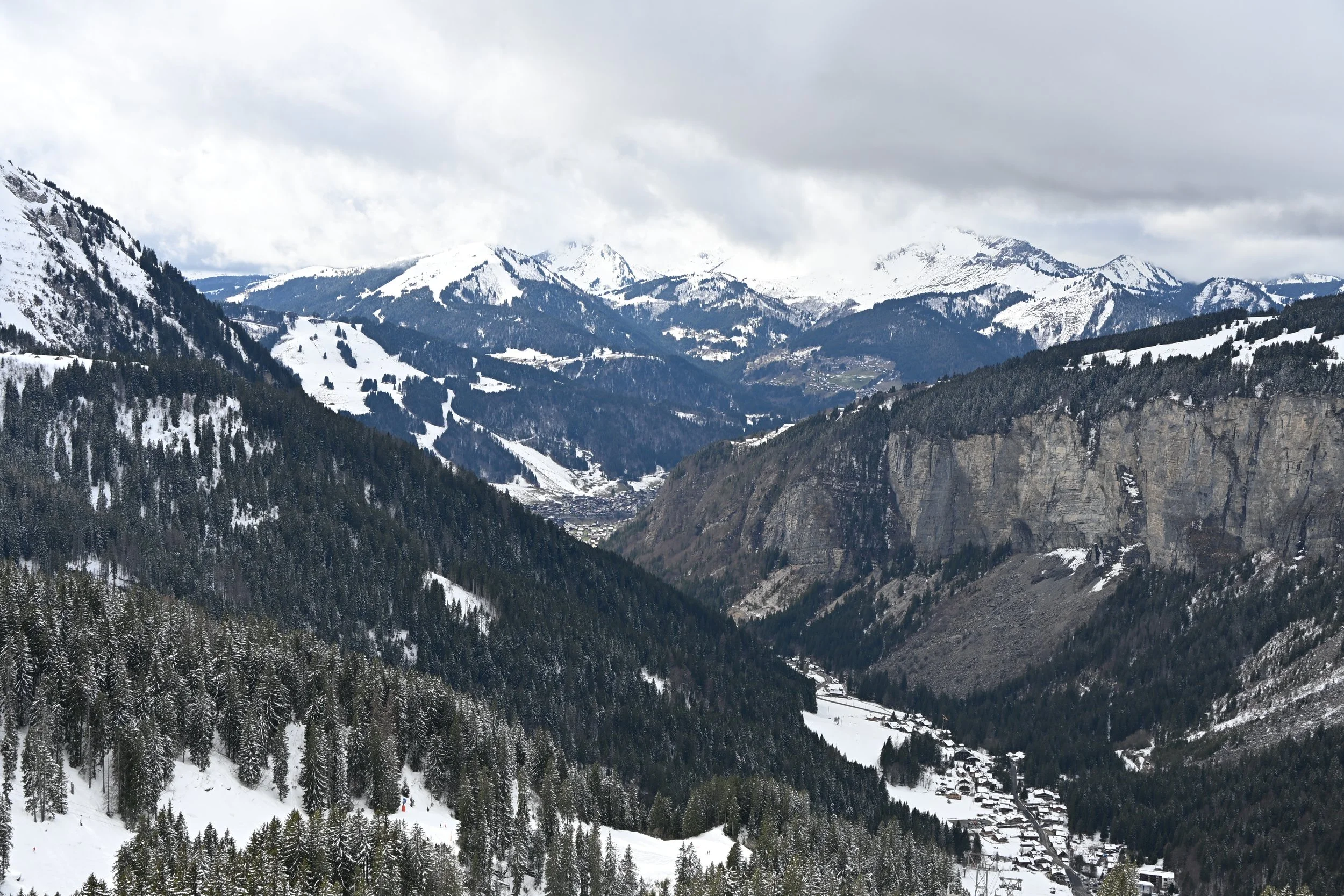 DSC_2220.JPG