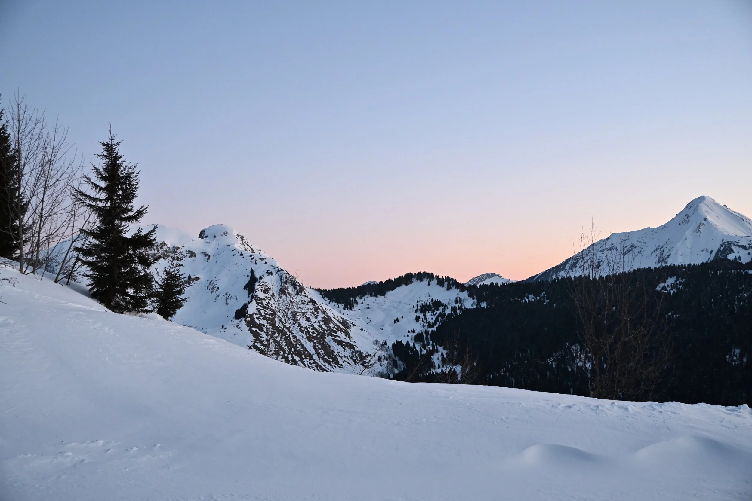 DSC_2262.JPG
