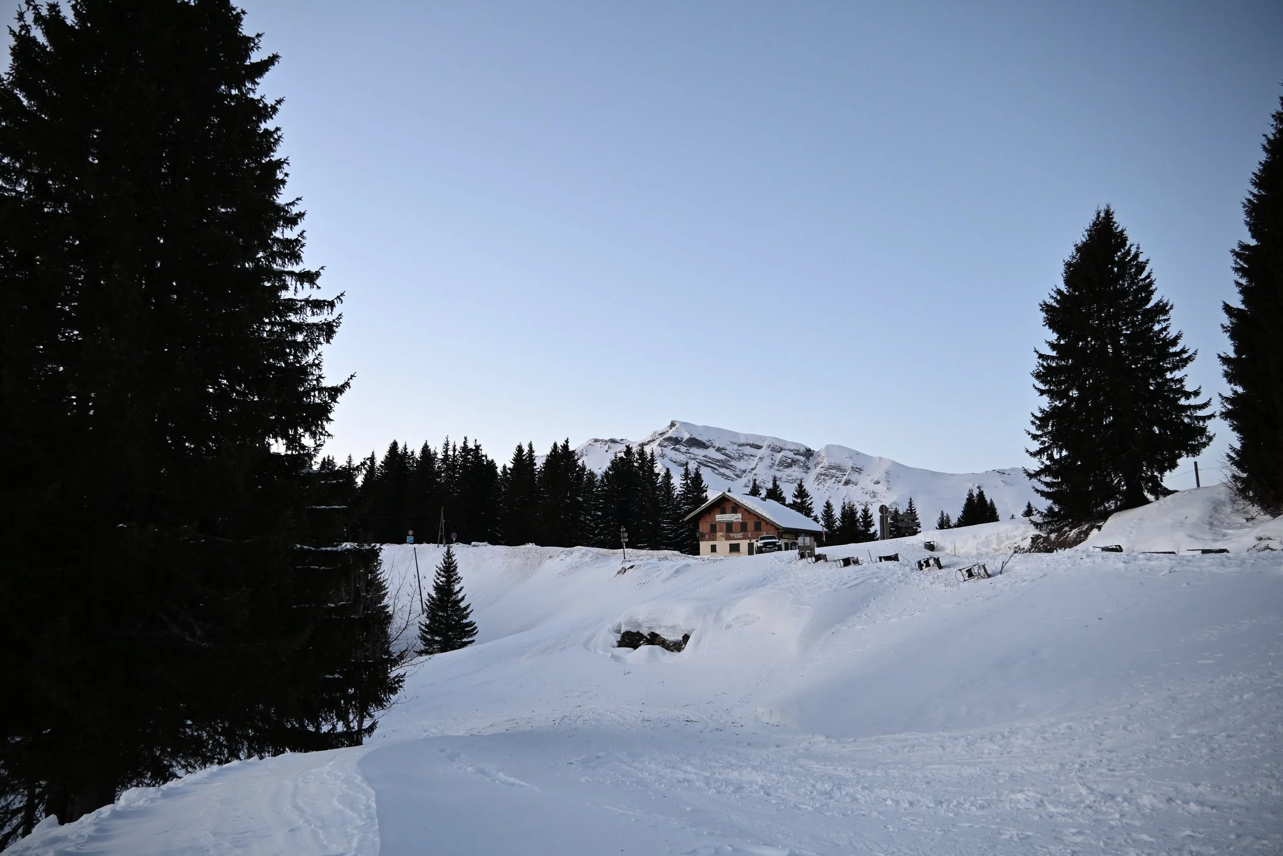 DSC_2268.JPG