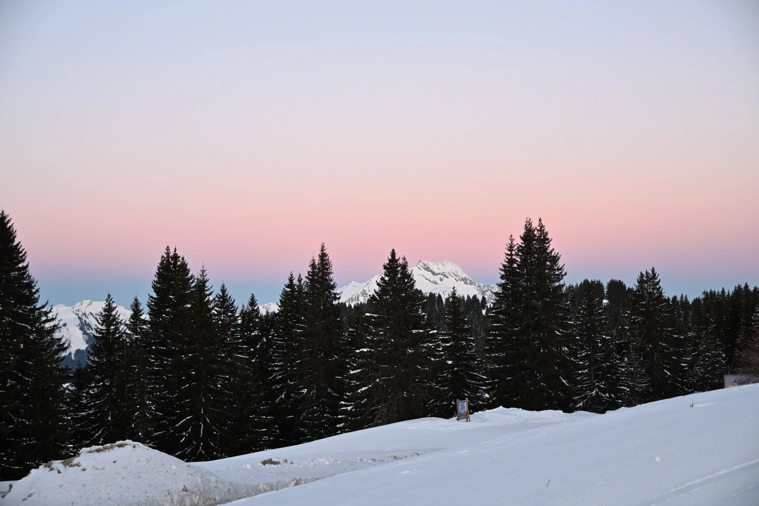 DSC_2275.JPG