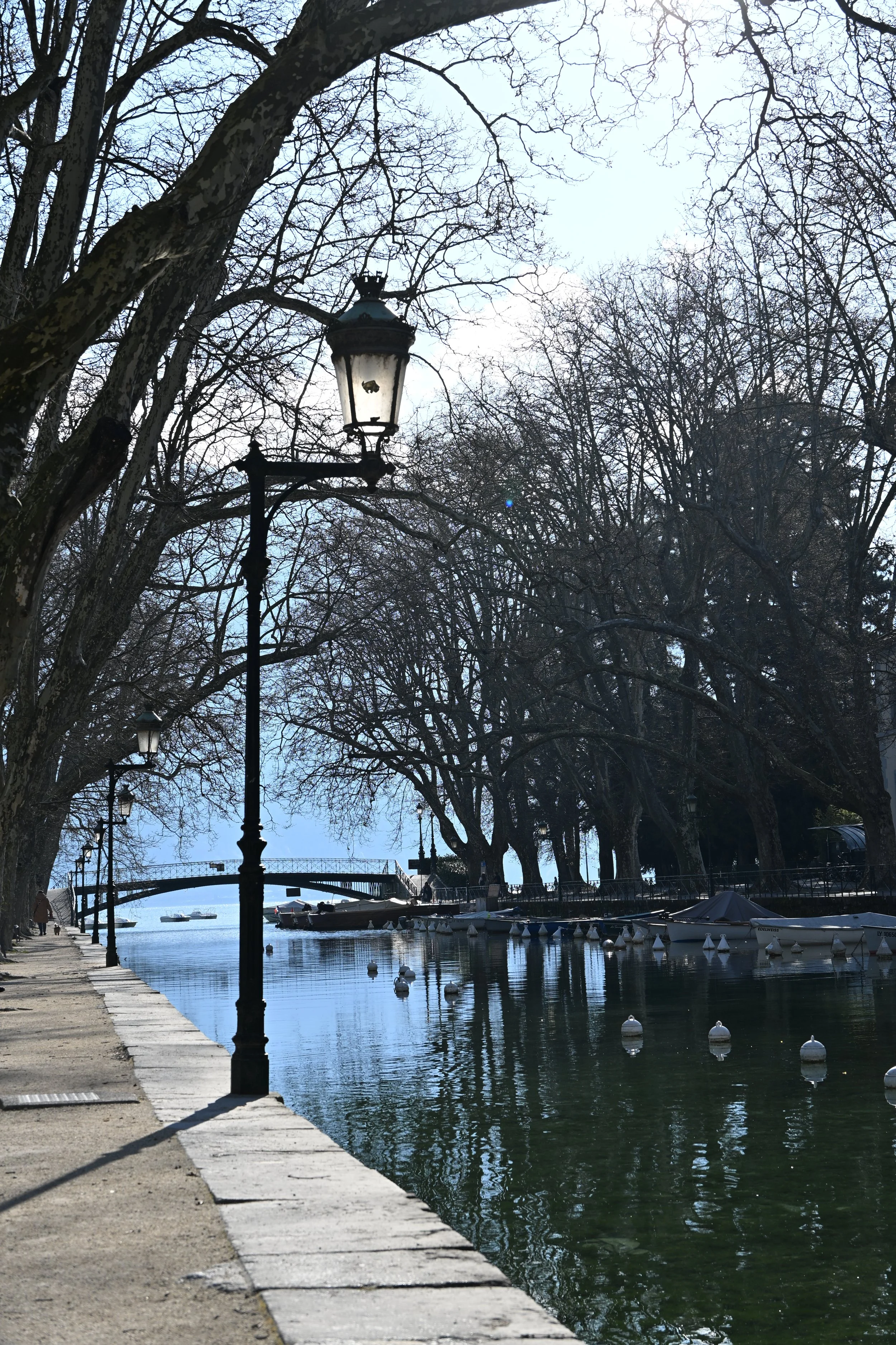 DSC_2315.JPG