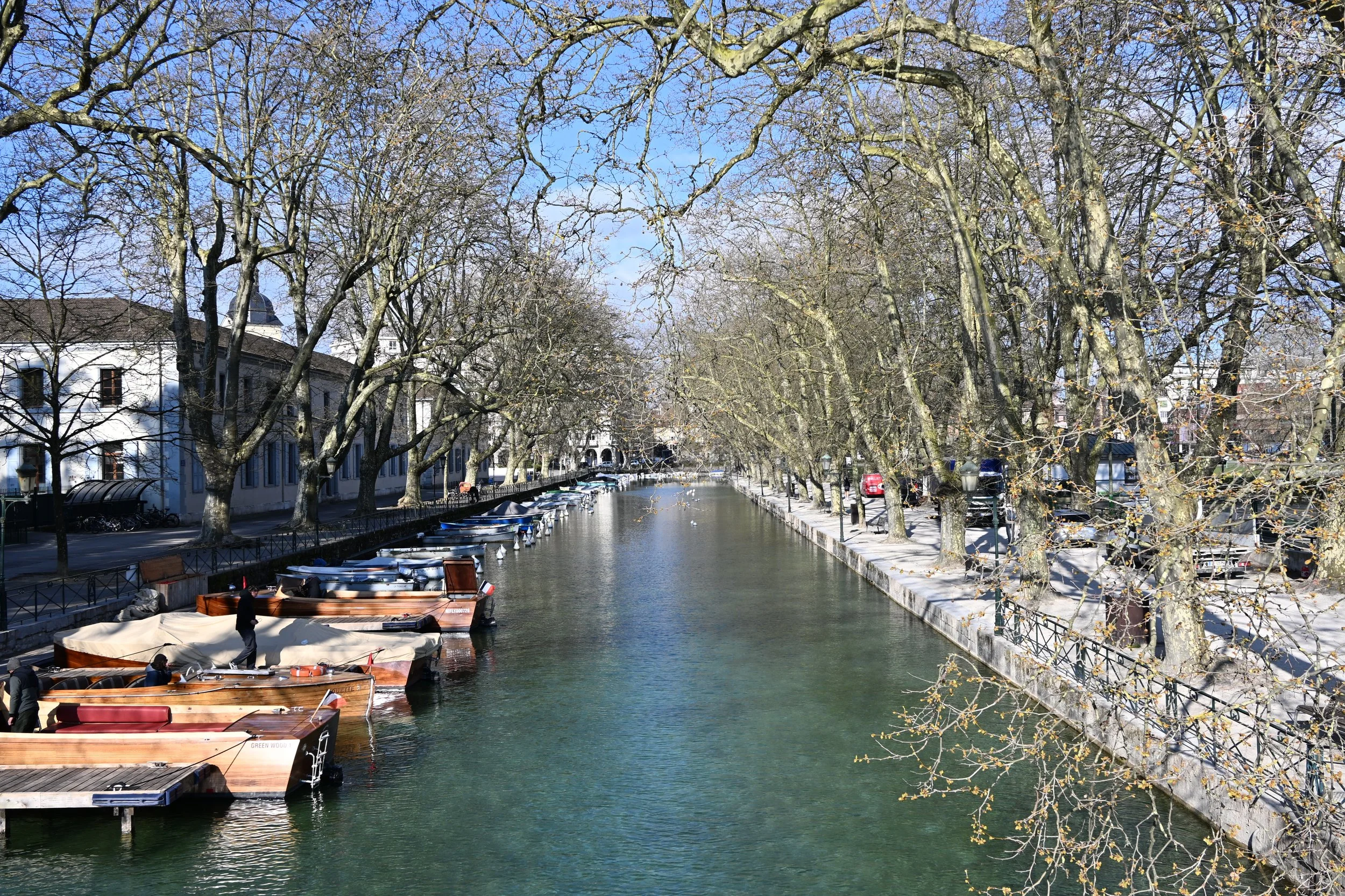 DSC_2321.JPG