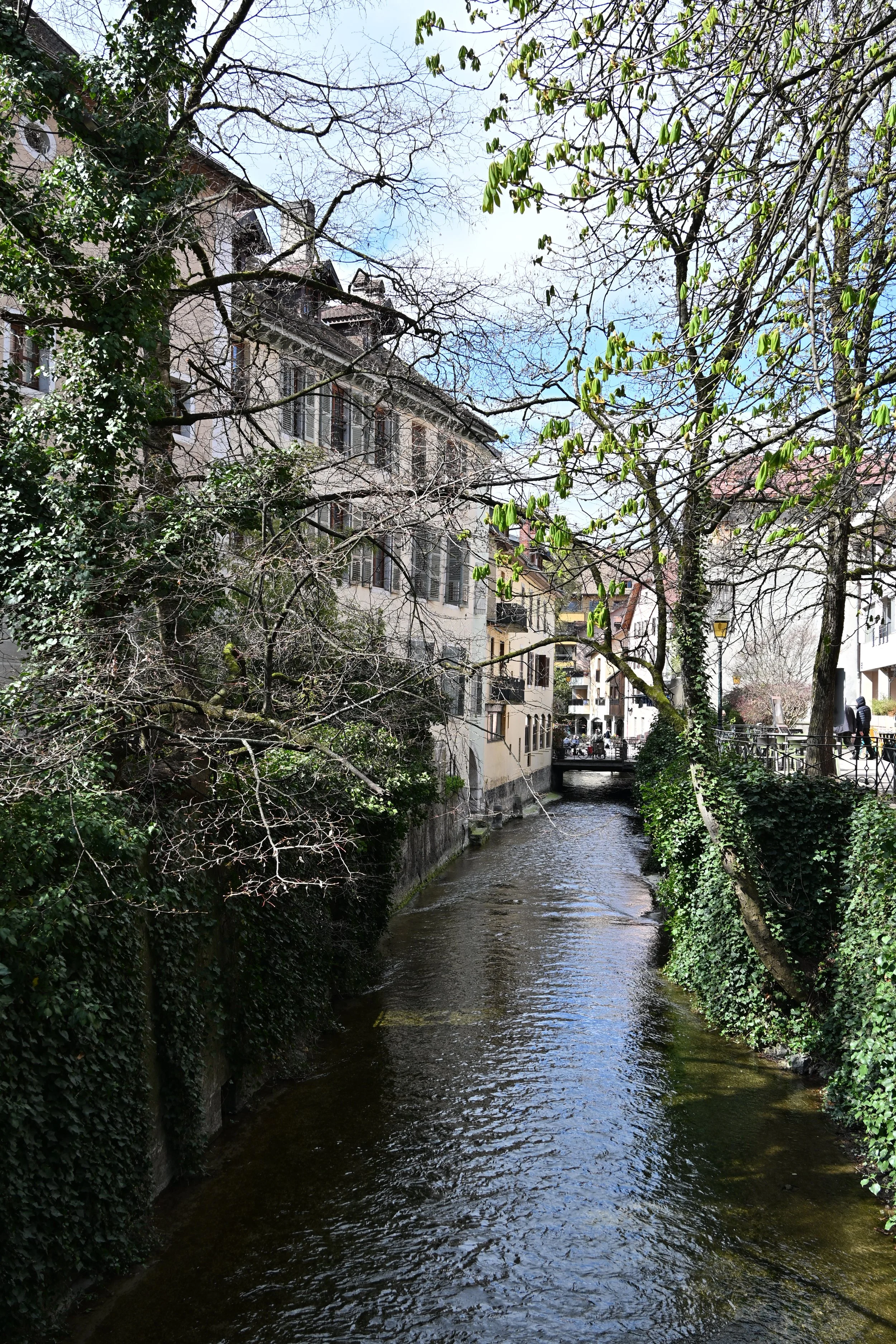 DSC_2365.JPG